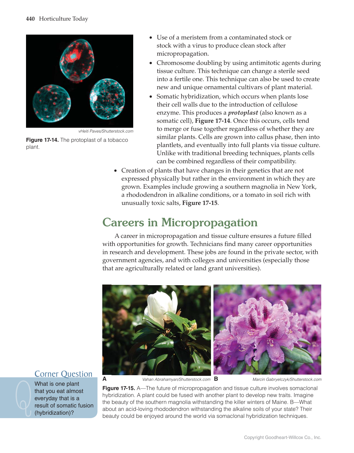 Horticulture Today, 1st Edition page 440
