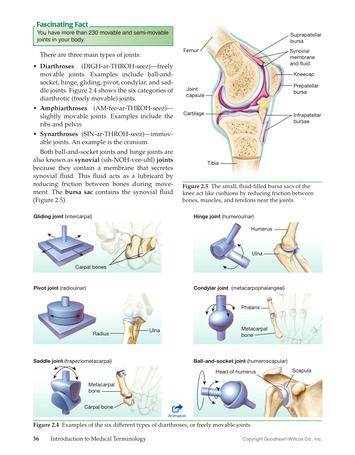 Introduction to Medical Terminology, 1st Edition page 36
