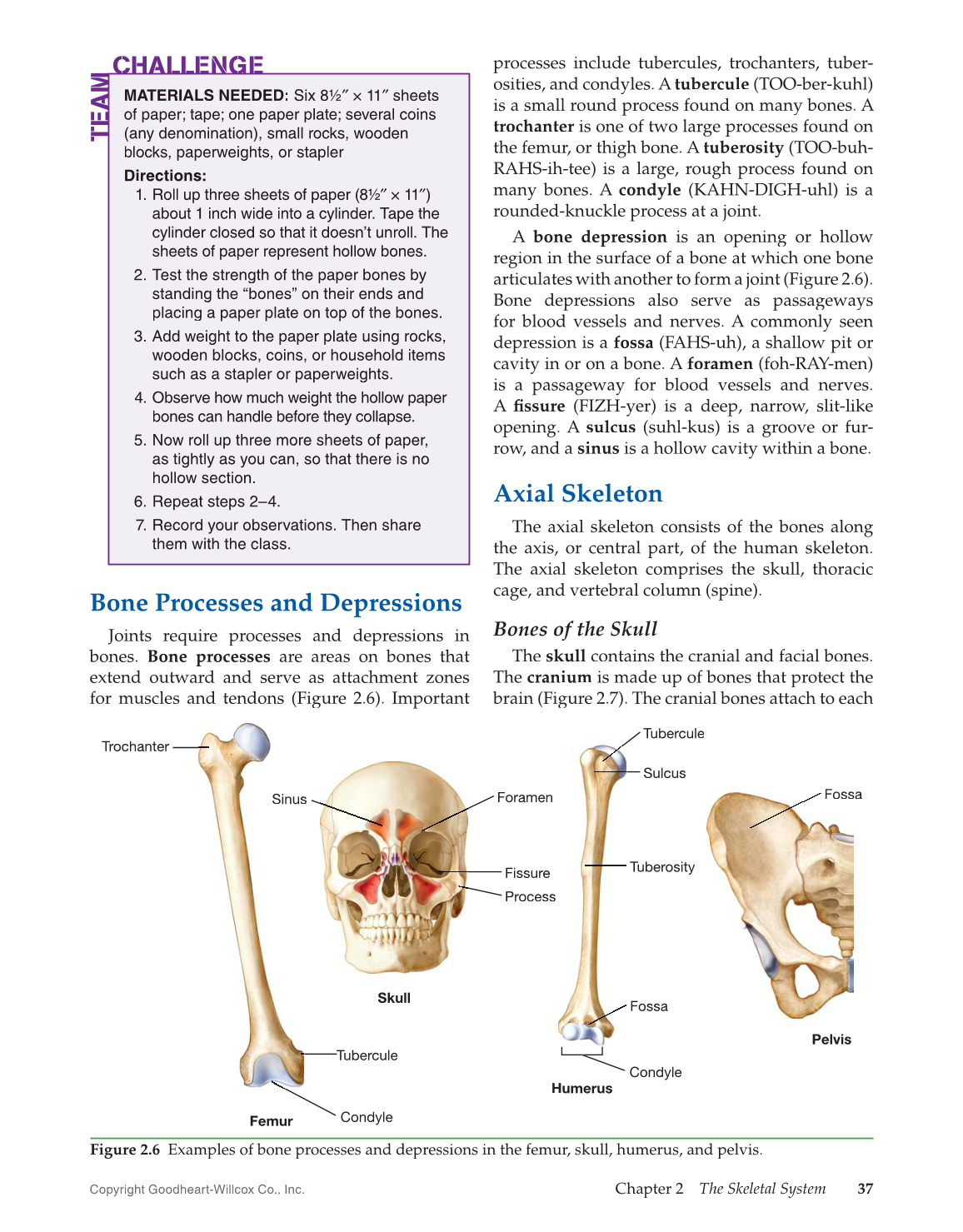 Introduction to Medical Terminology, 1st Edition page 37