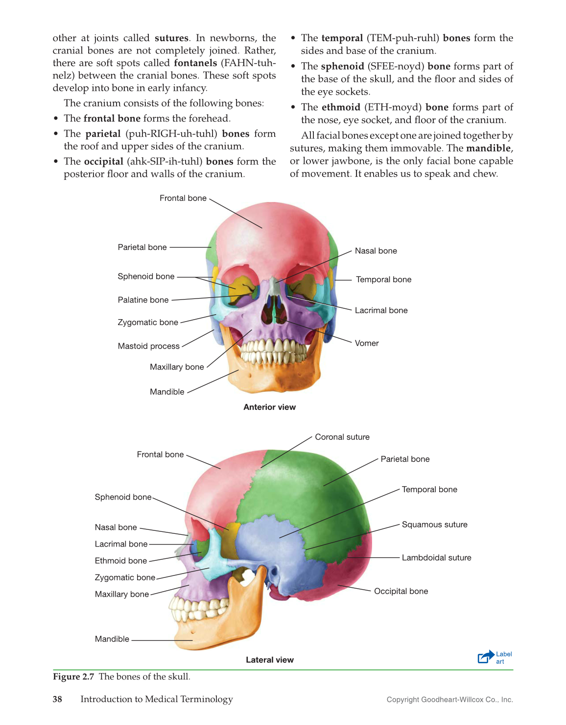 Introduction to Medical Terminology, 1st Edition page 38