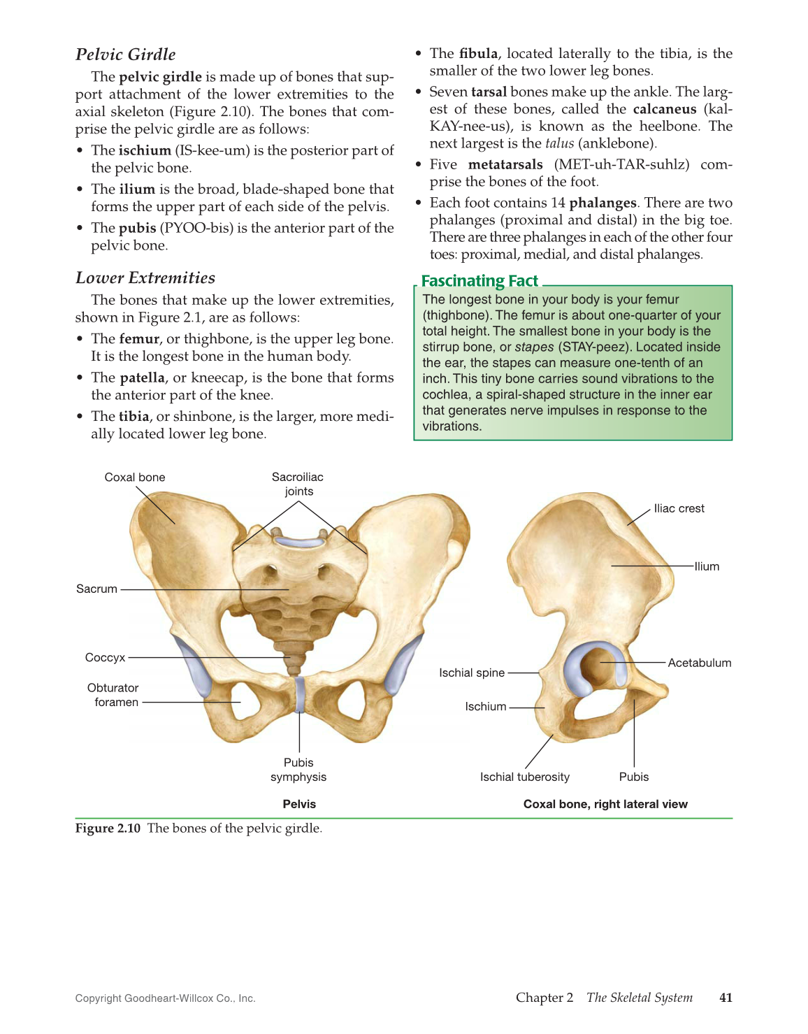 Introduction to Medical Terminology, 1st Edition page 41