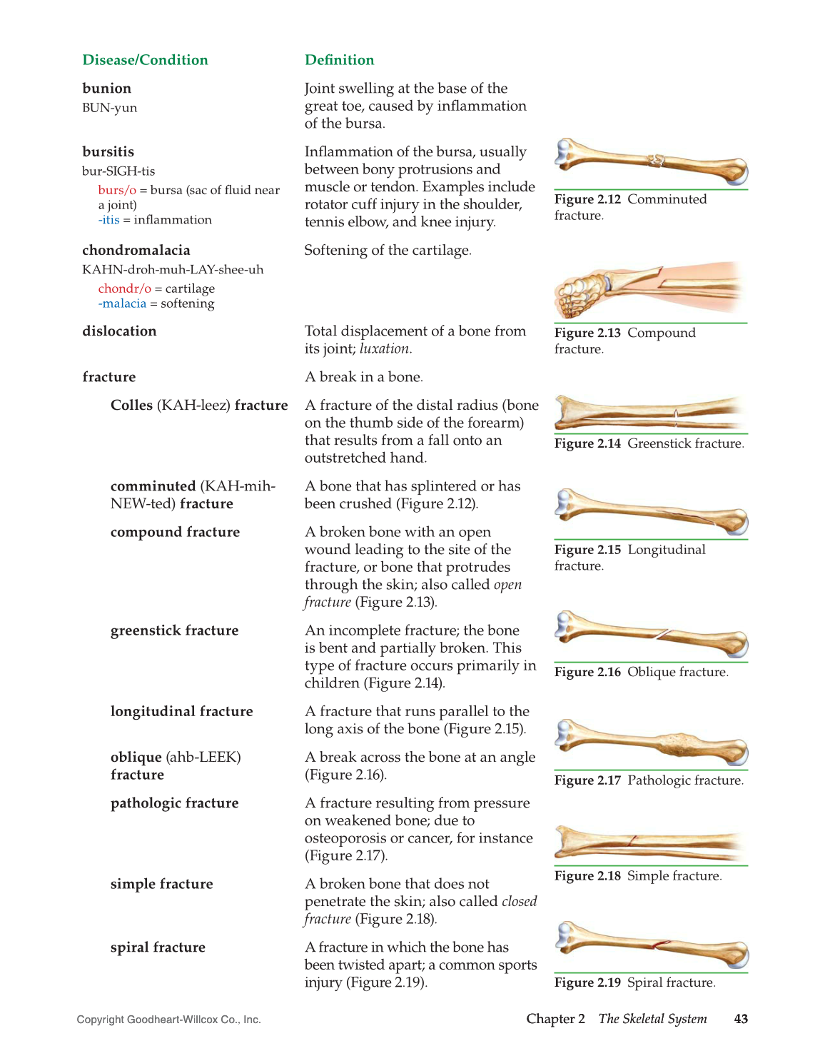 Introduction to Medical Terminology, 1st Edition page 43