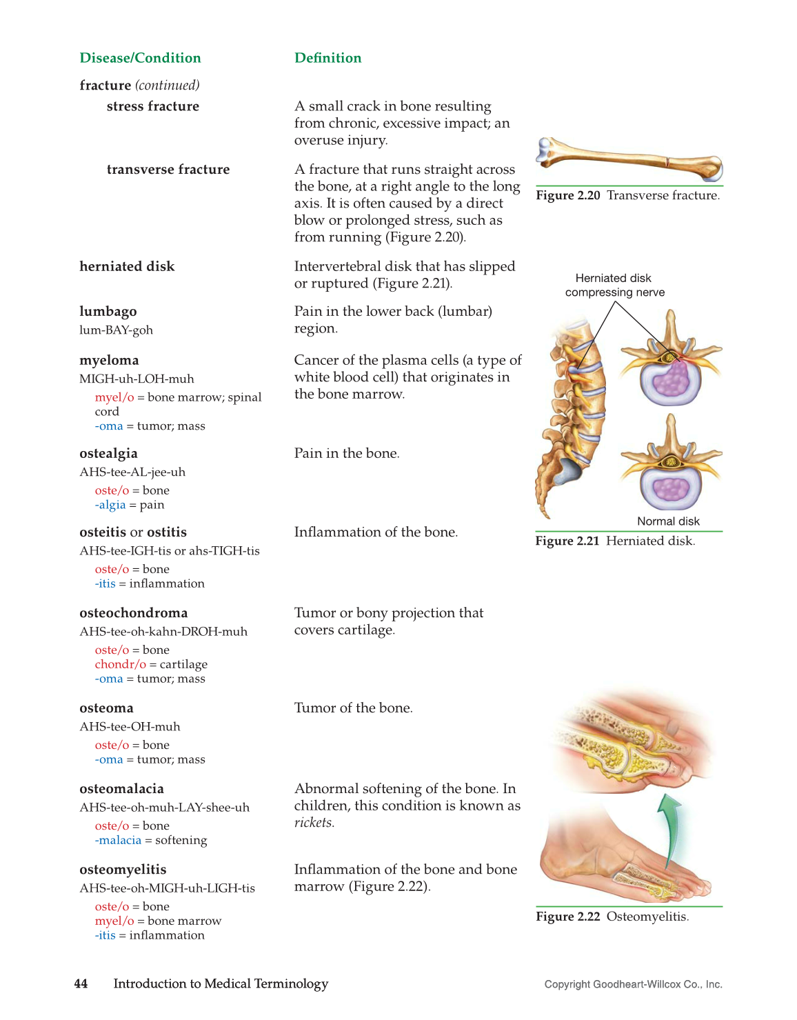 Introduction to Medical Terminology, 1st Edition page 44
