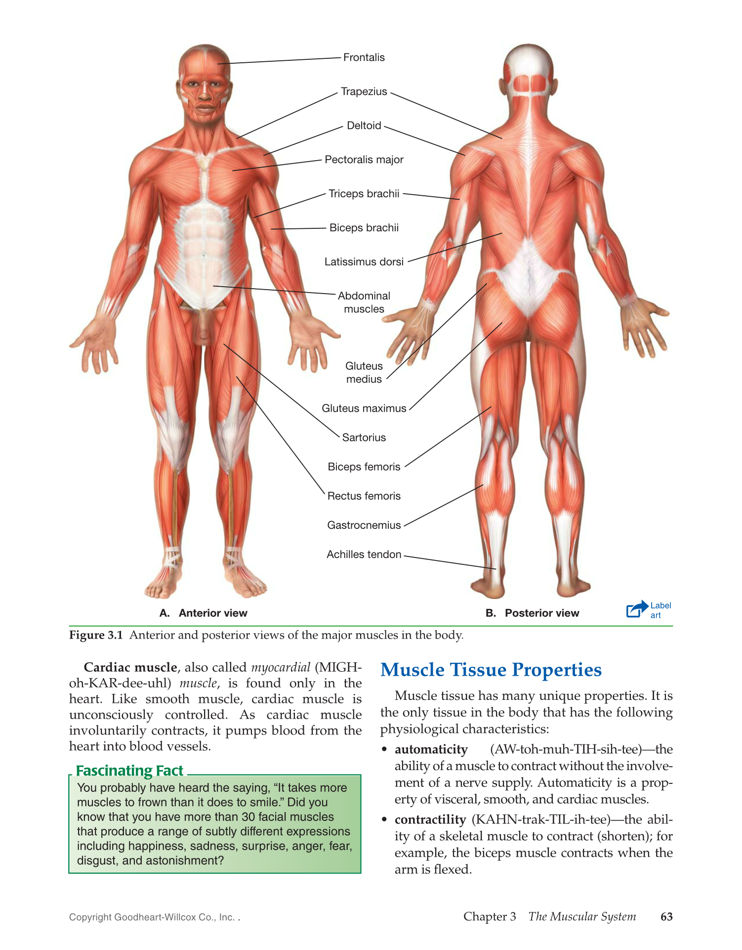 Introduction to Medical Terminology, 1st Edition page 63
