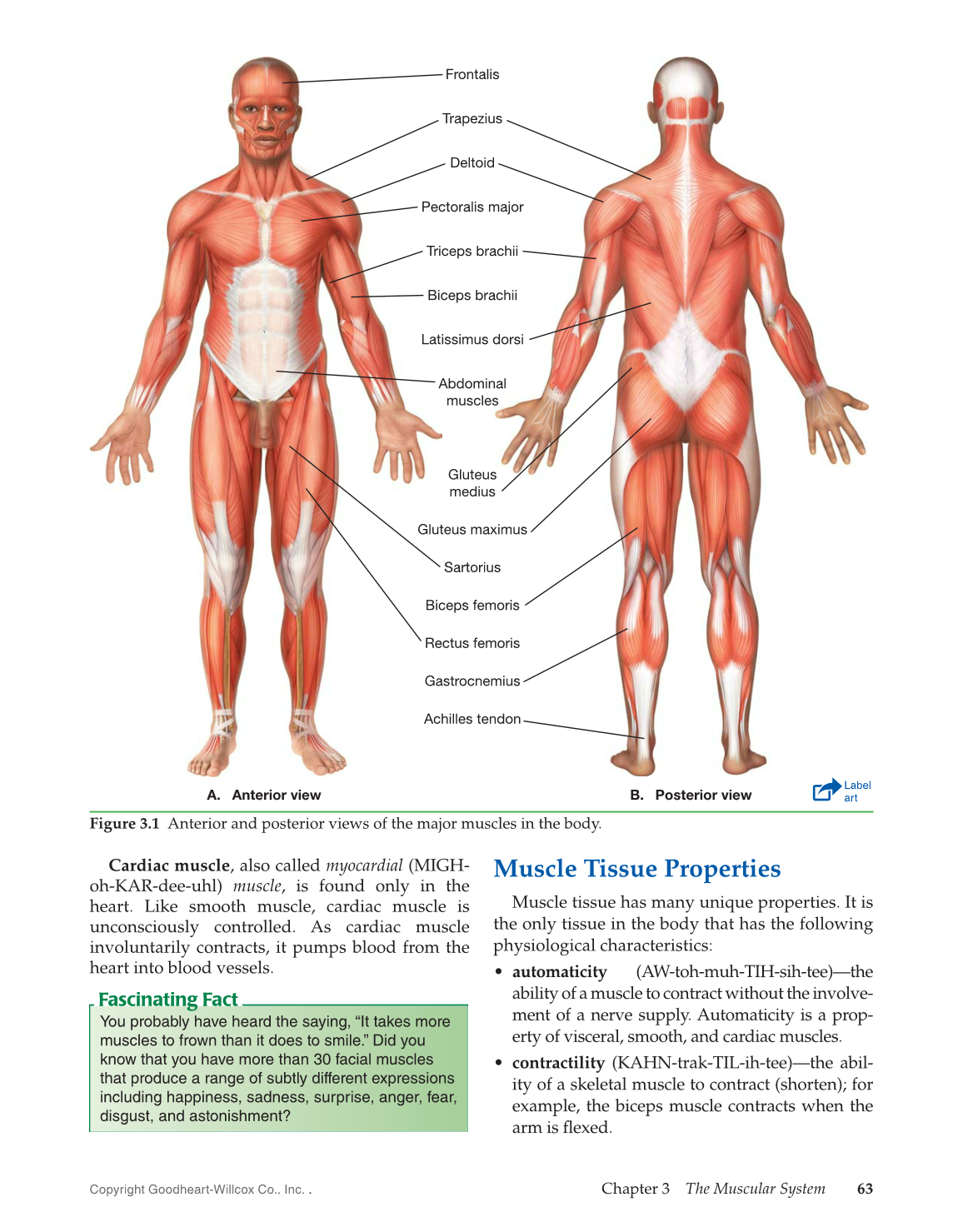 Introduction to Medical Terminology, 1st Edition page 63