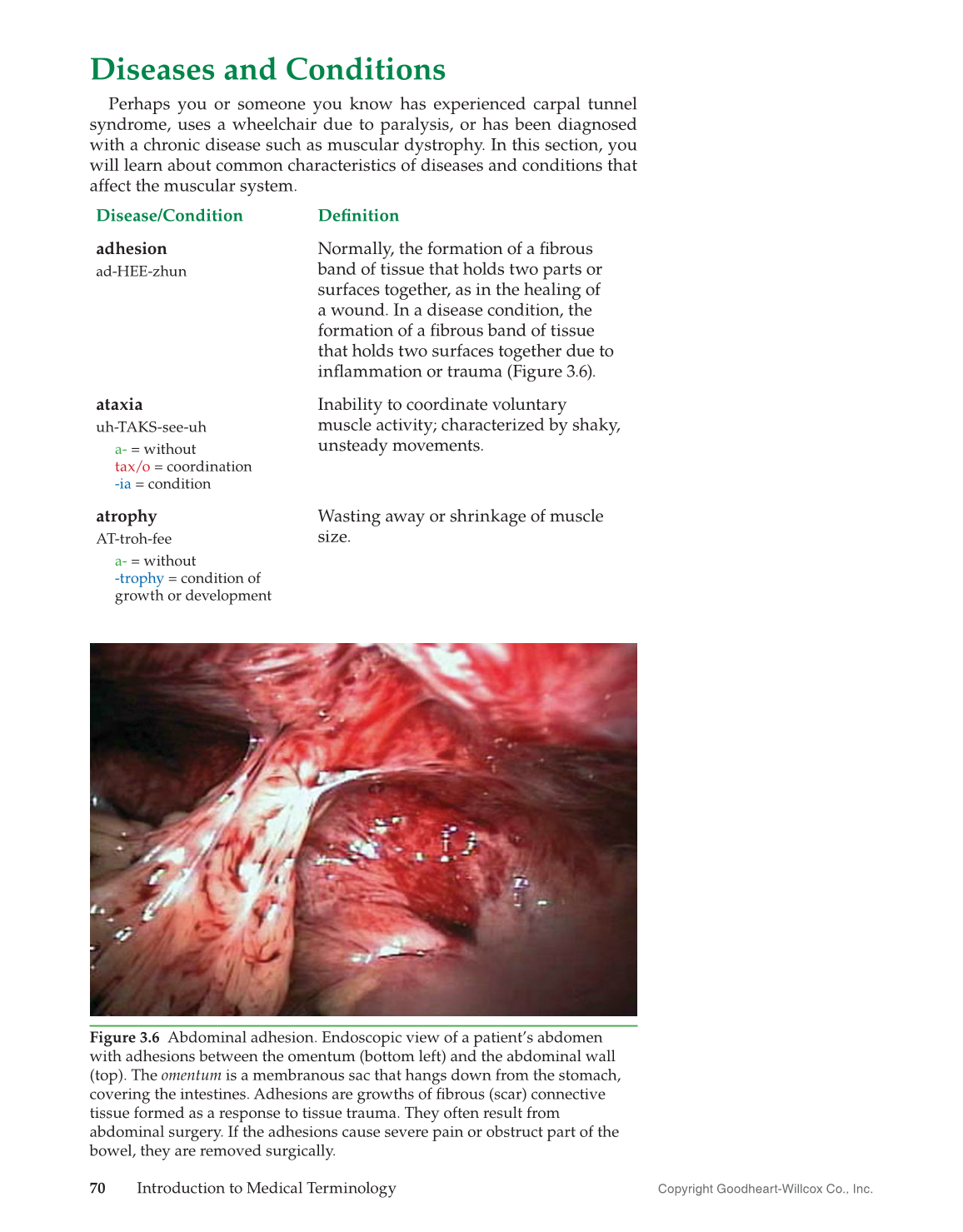 Introduction to Medical Terminology, 1st Edition page 70