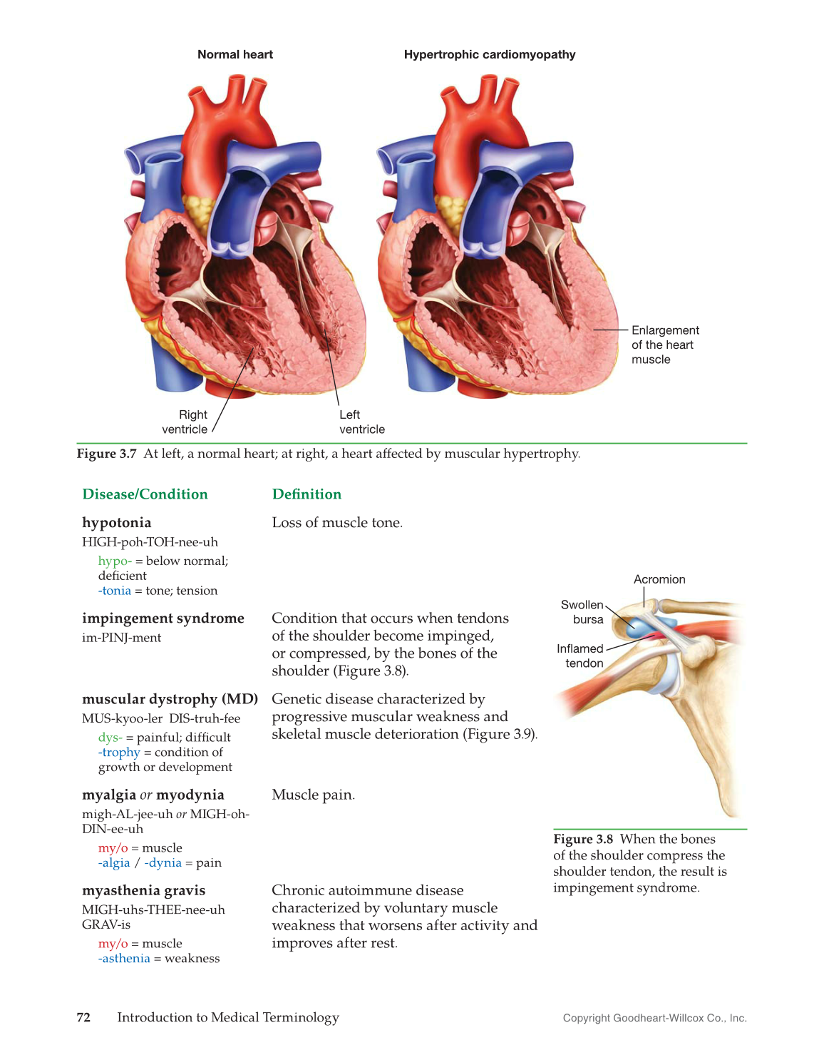 Introduction to Medical Terminology, 1st Edition page 72