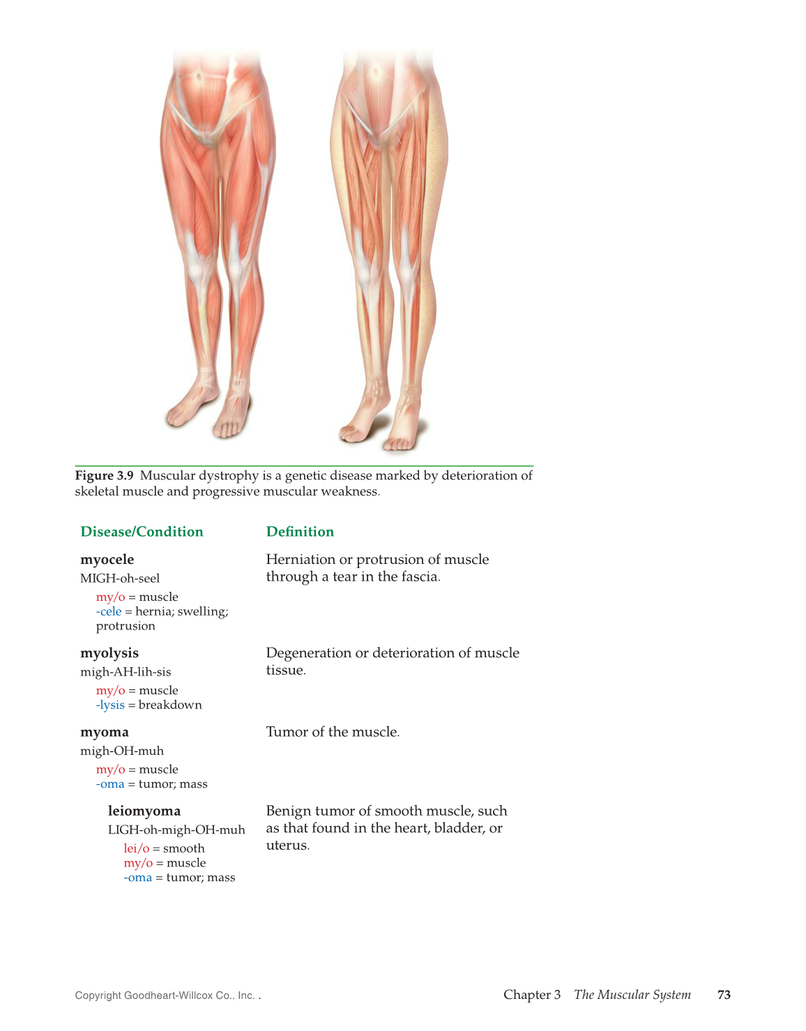 Introduction to Medical Terminology, 1st Edition page 73