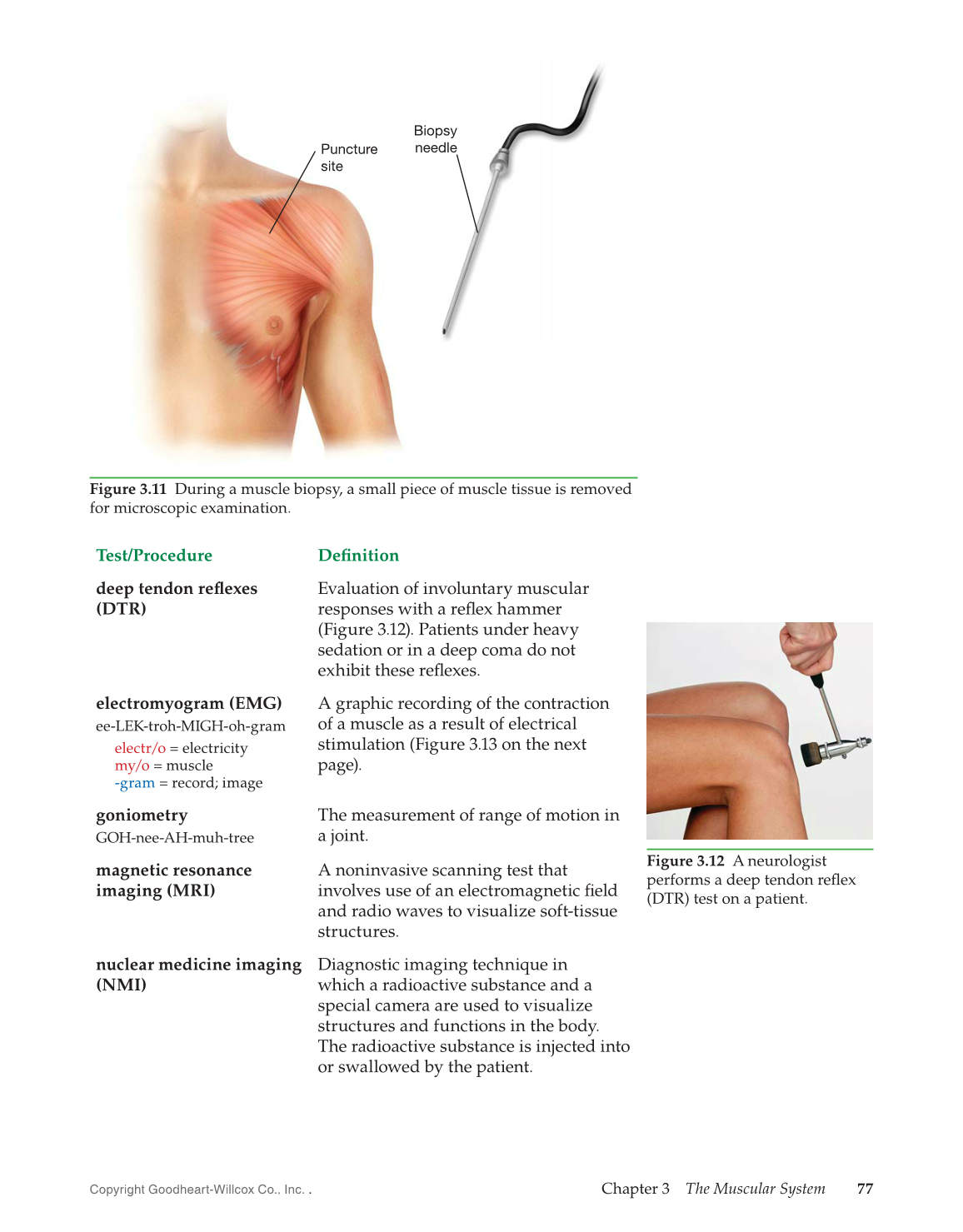 Introduction to Medical Terminology, 1st Edition page 77