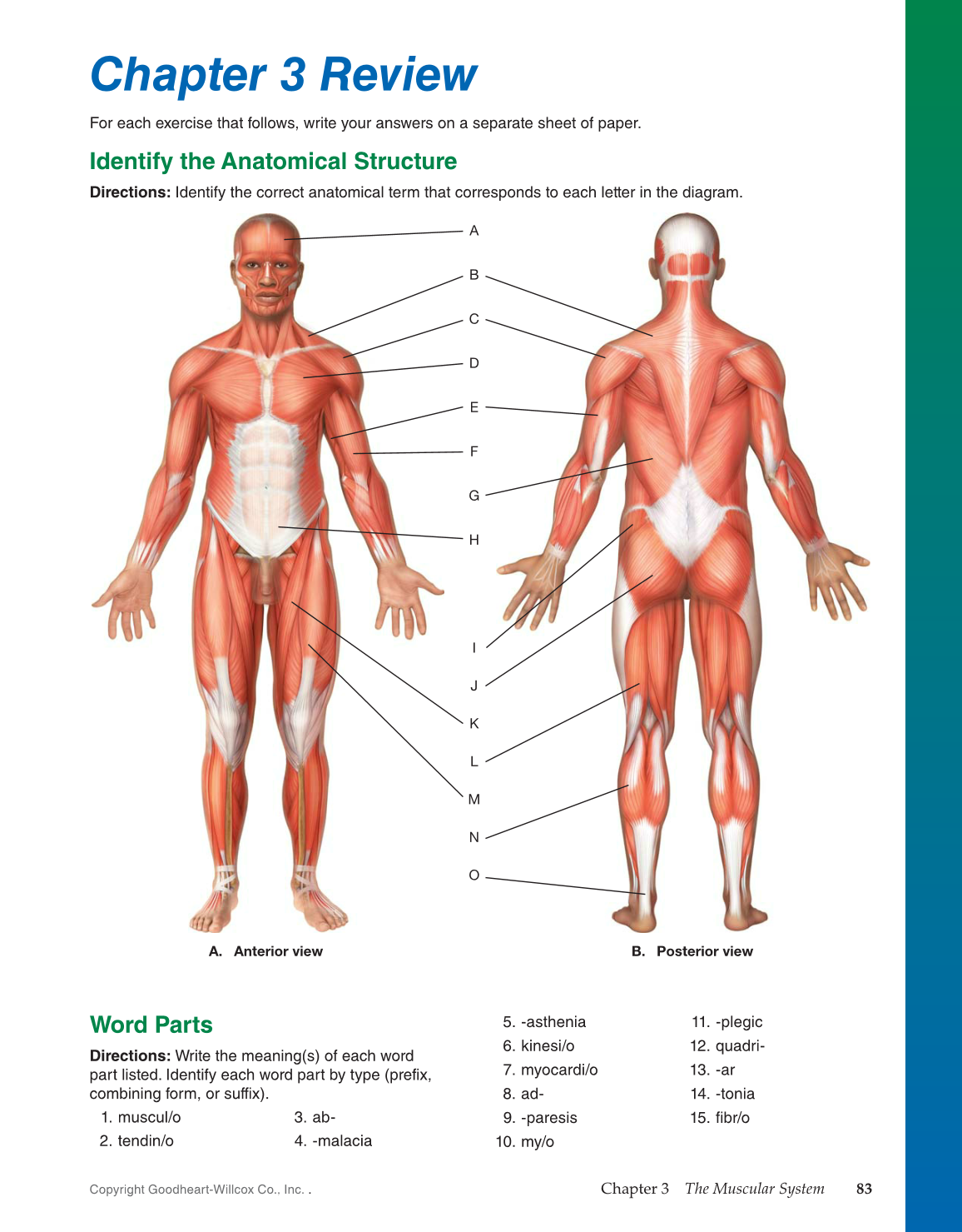 Introduction to Medical Terminology, 1st Edition page 83