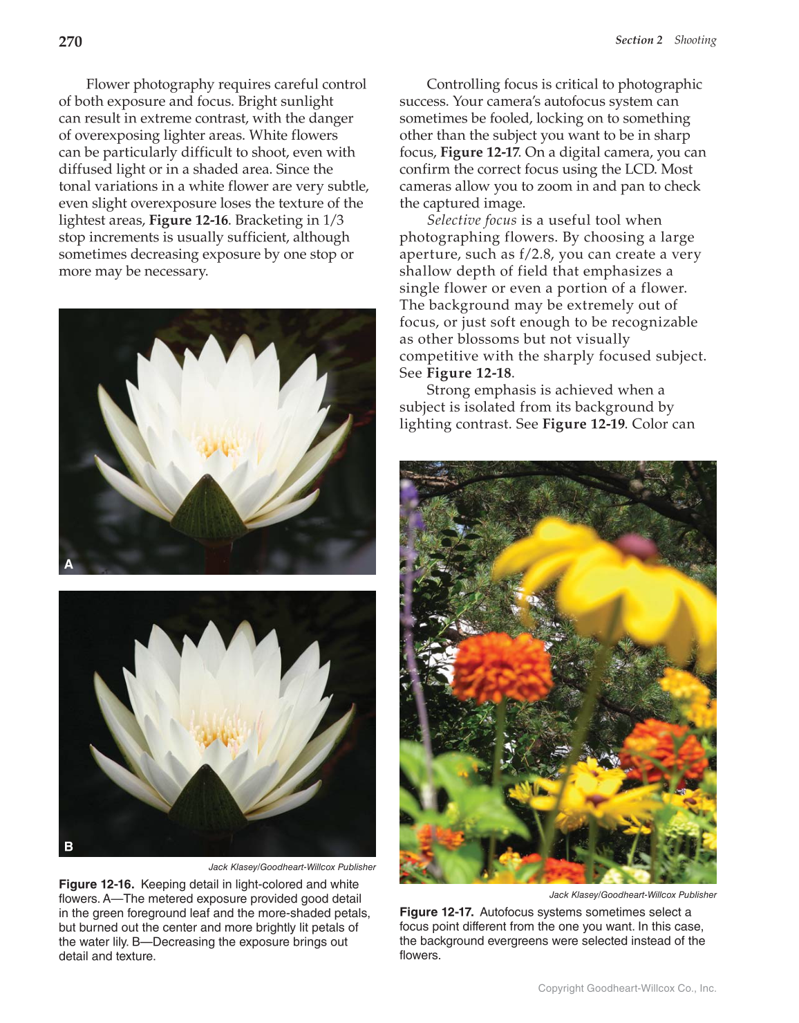 Photography: Portfolio to Profession, 3rd Edition page 270