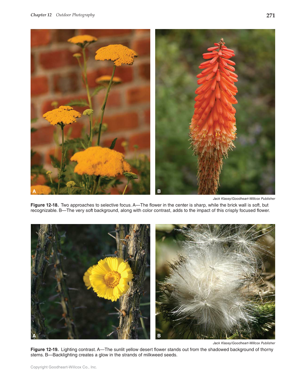 Photography: Portfolio to Profession, 3rd Edition page 271