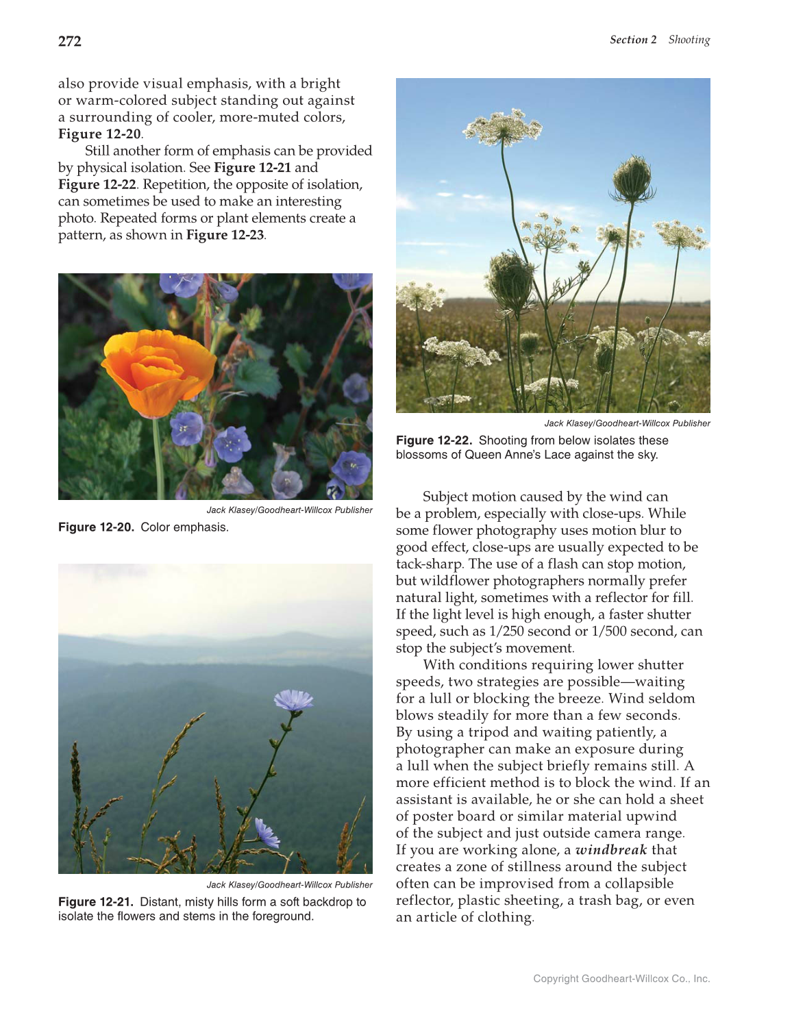 Photography: Portfolio to Profession, 3rd Edition page 272