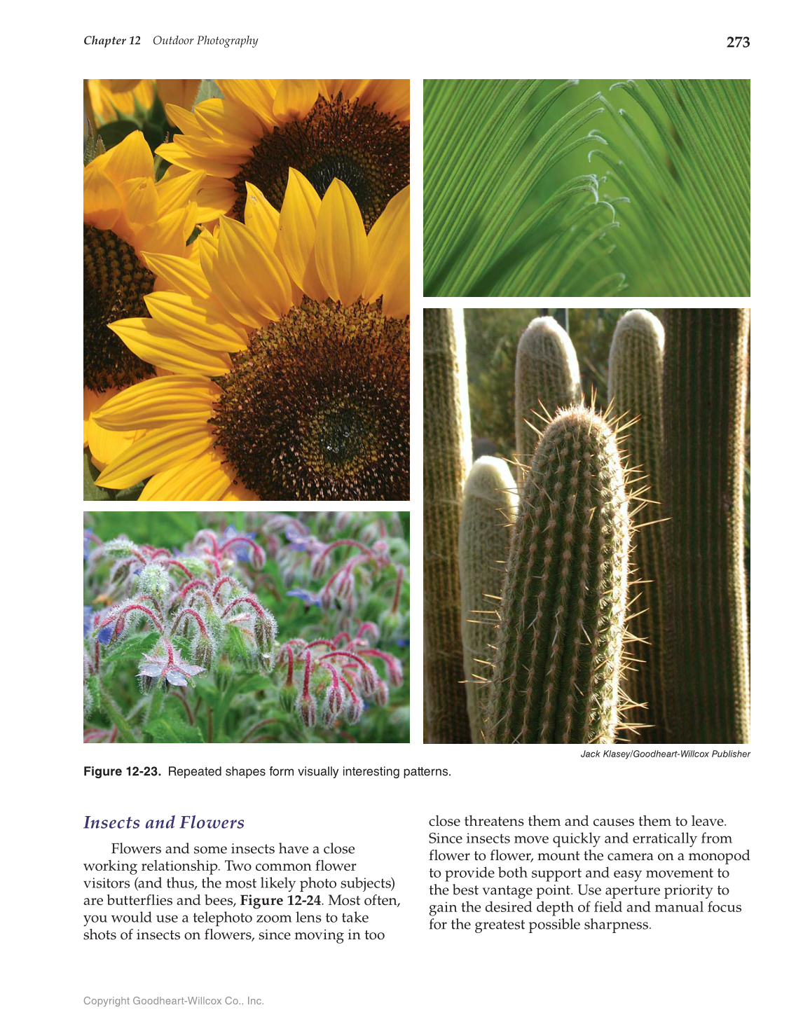 Photography: Portfolio to Profession, 3rd Edition page 273