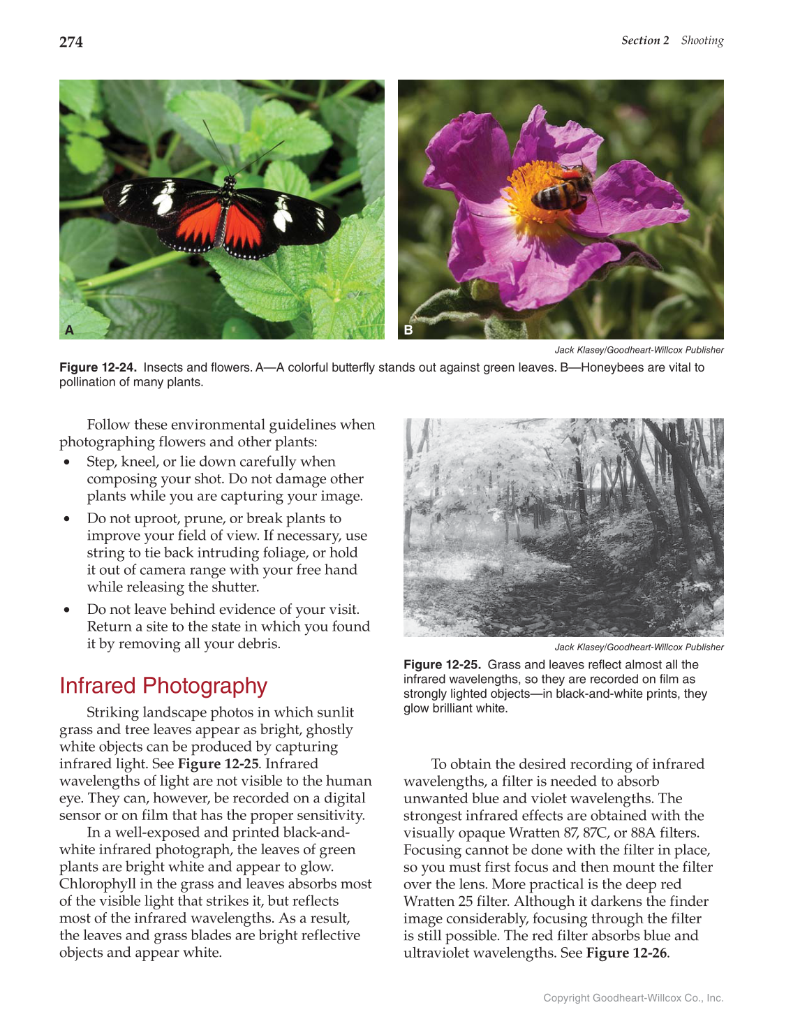 Photography: Portfolio to Profession, 3rd Edition page 274