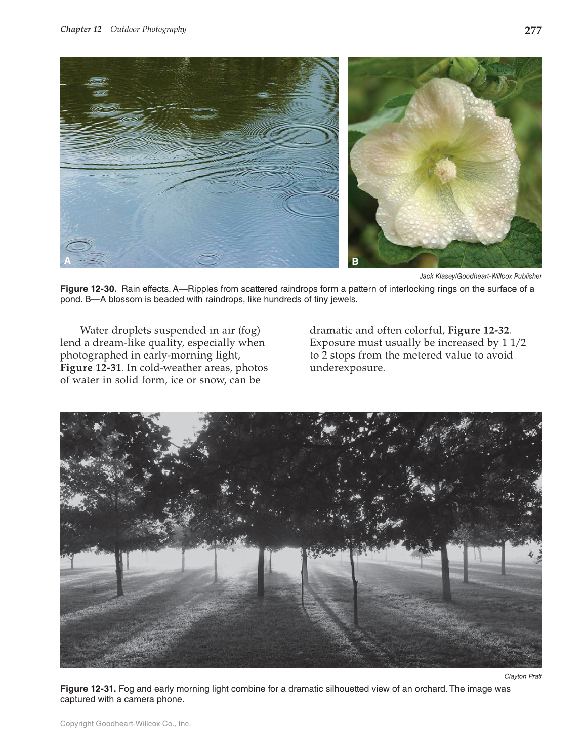 Photography: Portfolio to Profession, 3rd Edition page 277