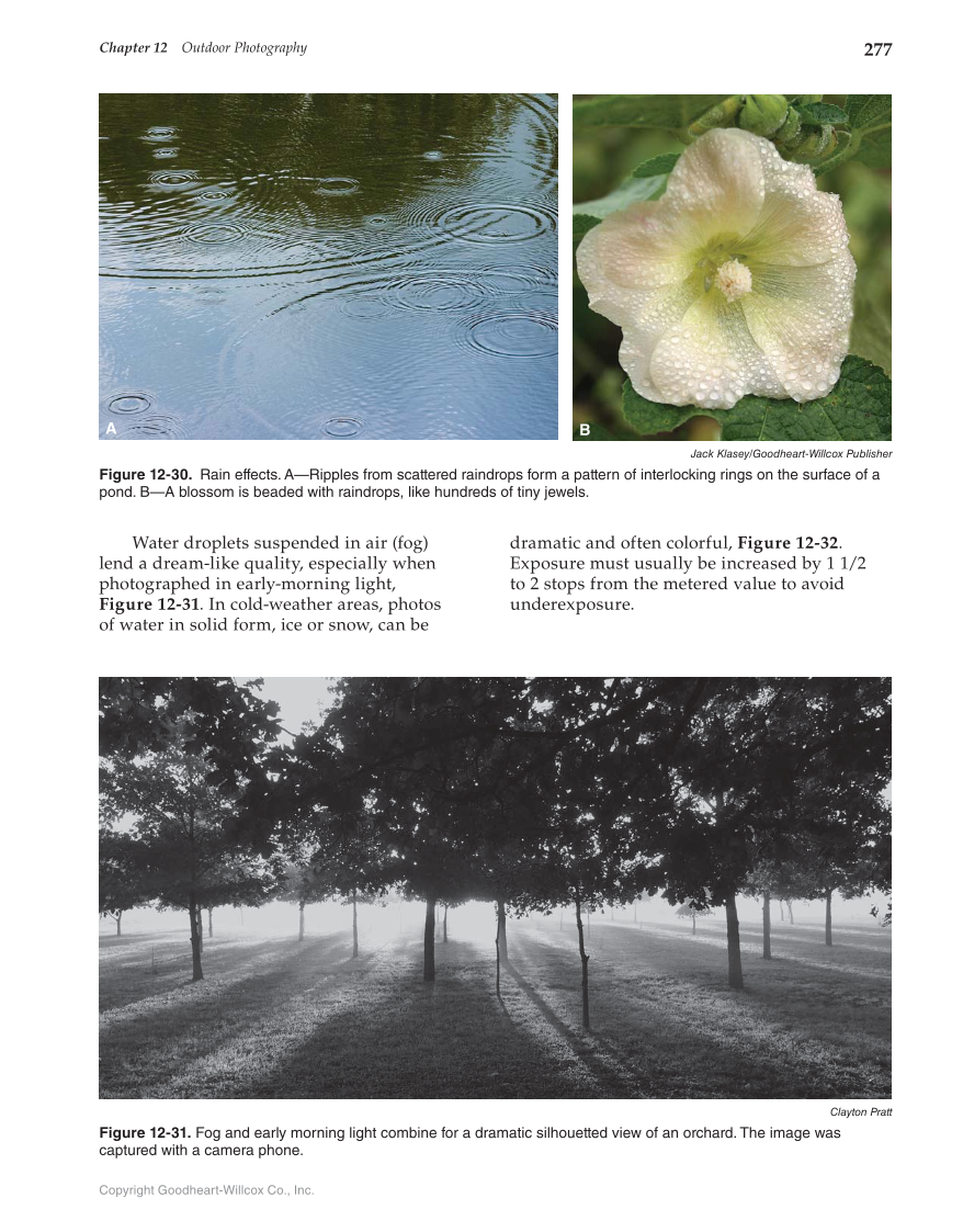 Photography: Portfolio to Profession, 3rd Edition page 277