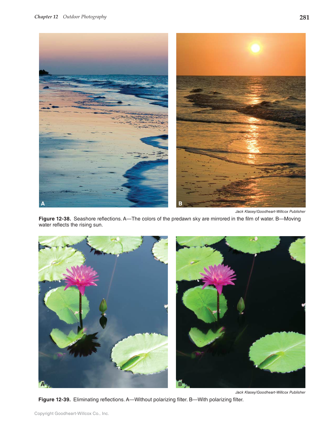 Photography: Portfolio to Profession, 3rd Edition page 281