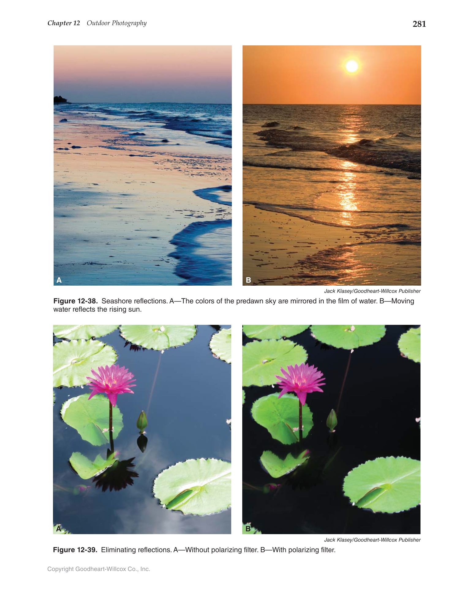 Photography: Portfolio to Profession, 3rd Edition page 281