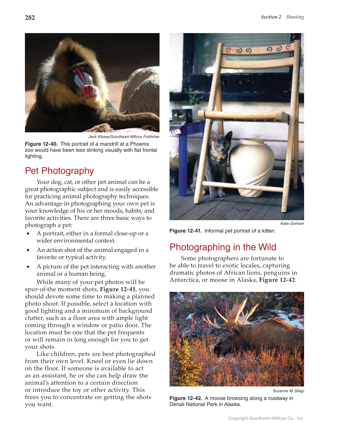 Photography: Portfolio to Profession, 3rd Edition page 282