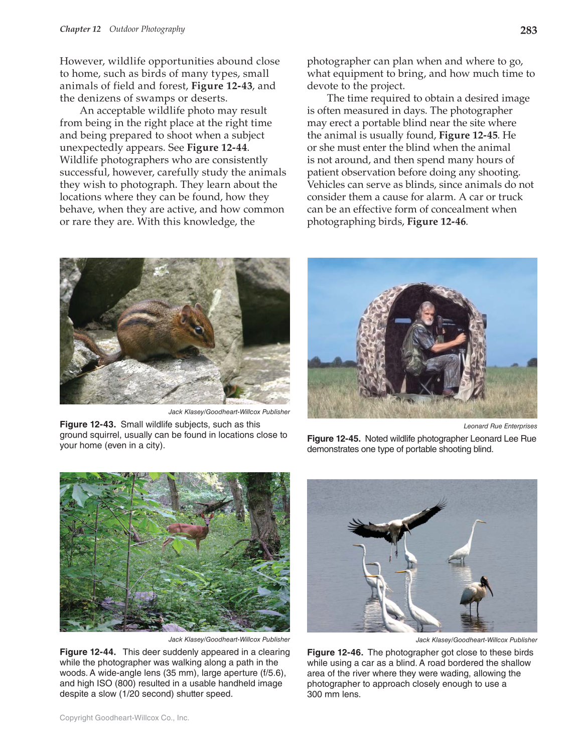Photography: Portfolio to Profession, 3rd Edition page 283