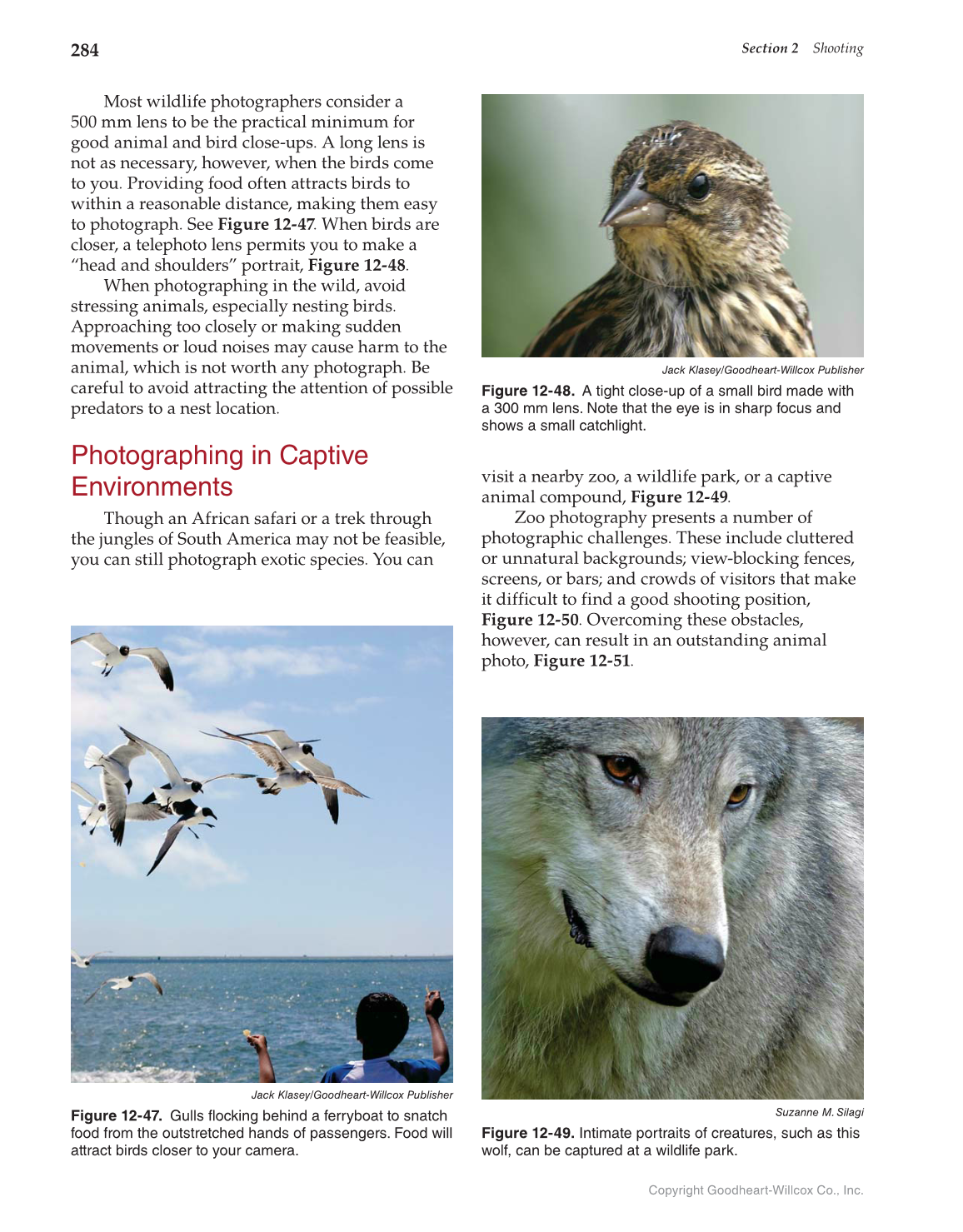 Photography: Portfolio to Profession, 3rd Edition page 284