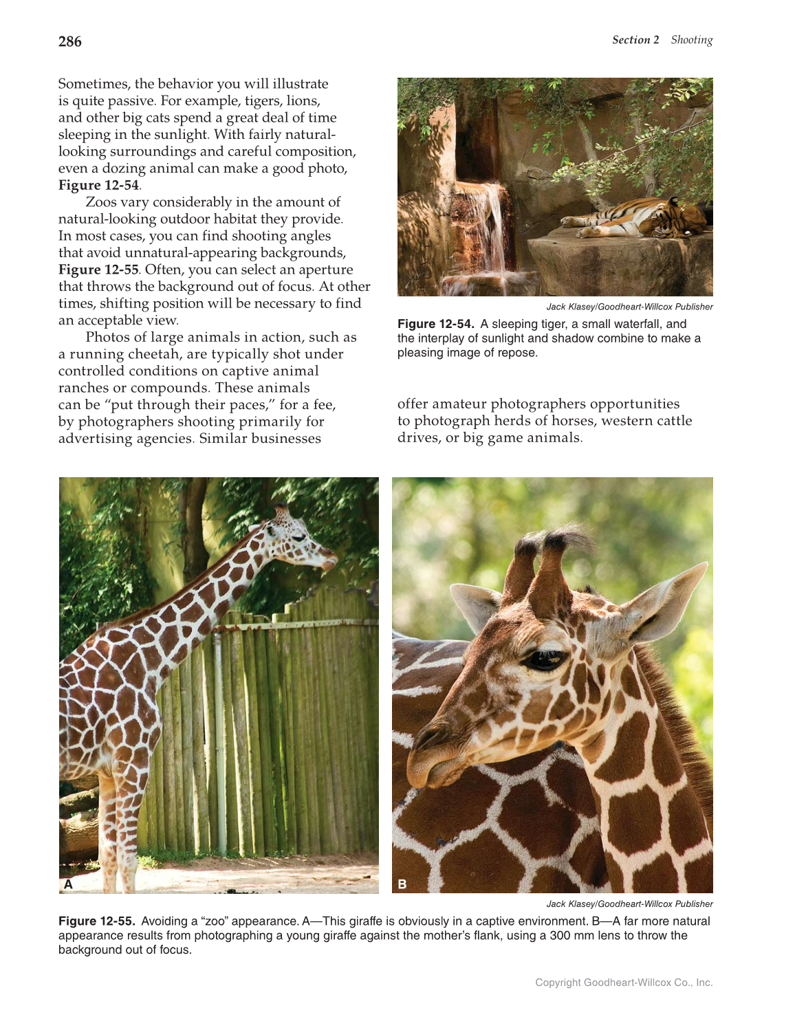 Photography: Portfolio to Profession, 3rd Edition page 286