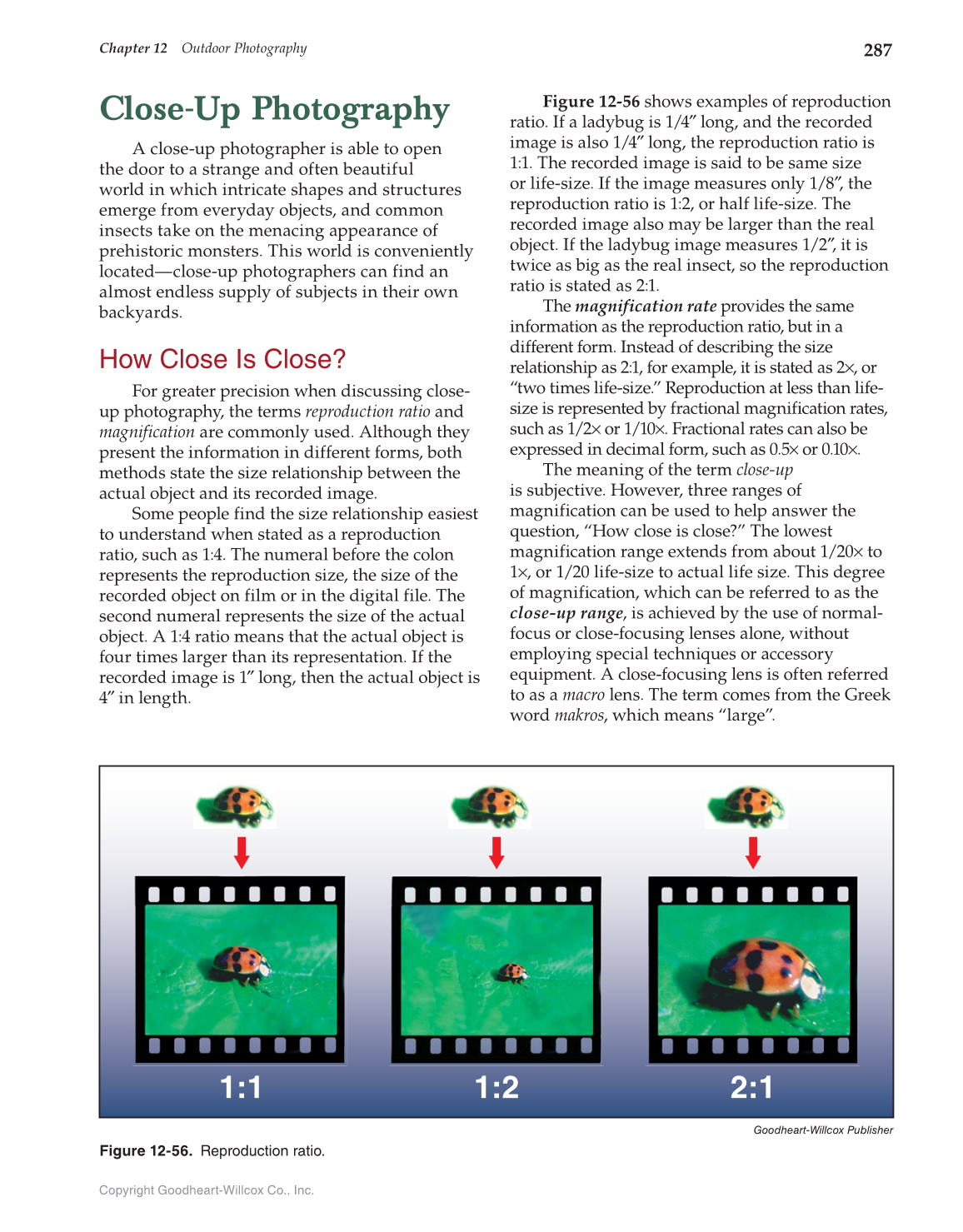 Photography: Portfolio to Profession, 3rd Edition page 287