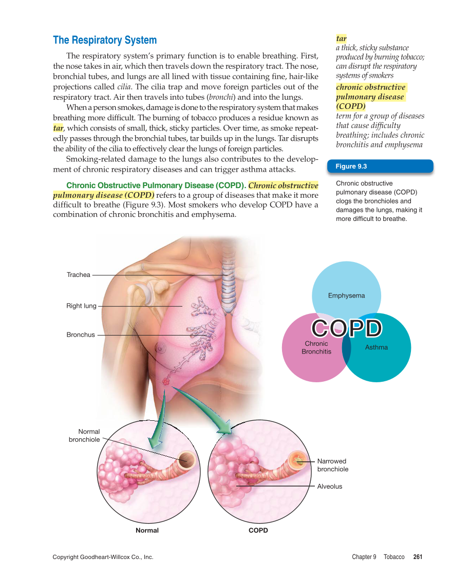 Comprehensive Health, 1st Edition page 261