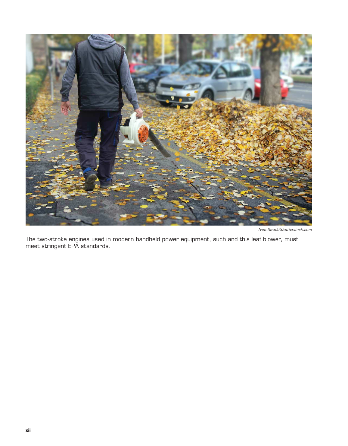 Two-Stroke Engines, 1st Edition page xii