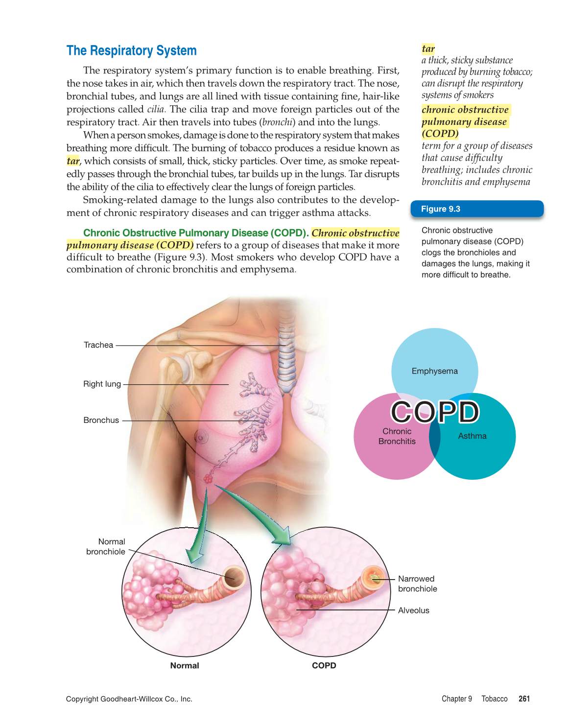 Essential Health, 1st Edition page 261