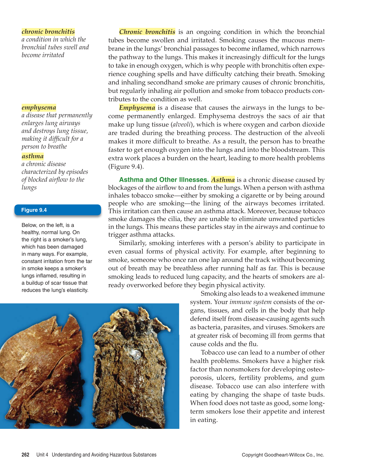 Essential Health, 1st Edition page 262