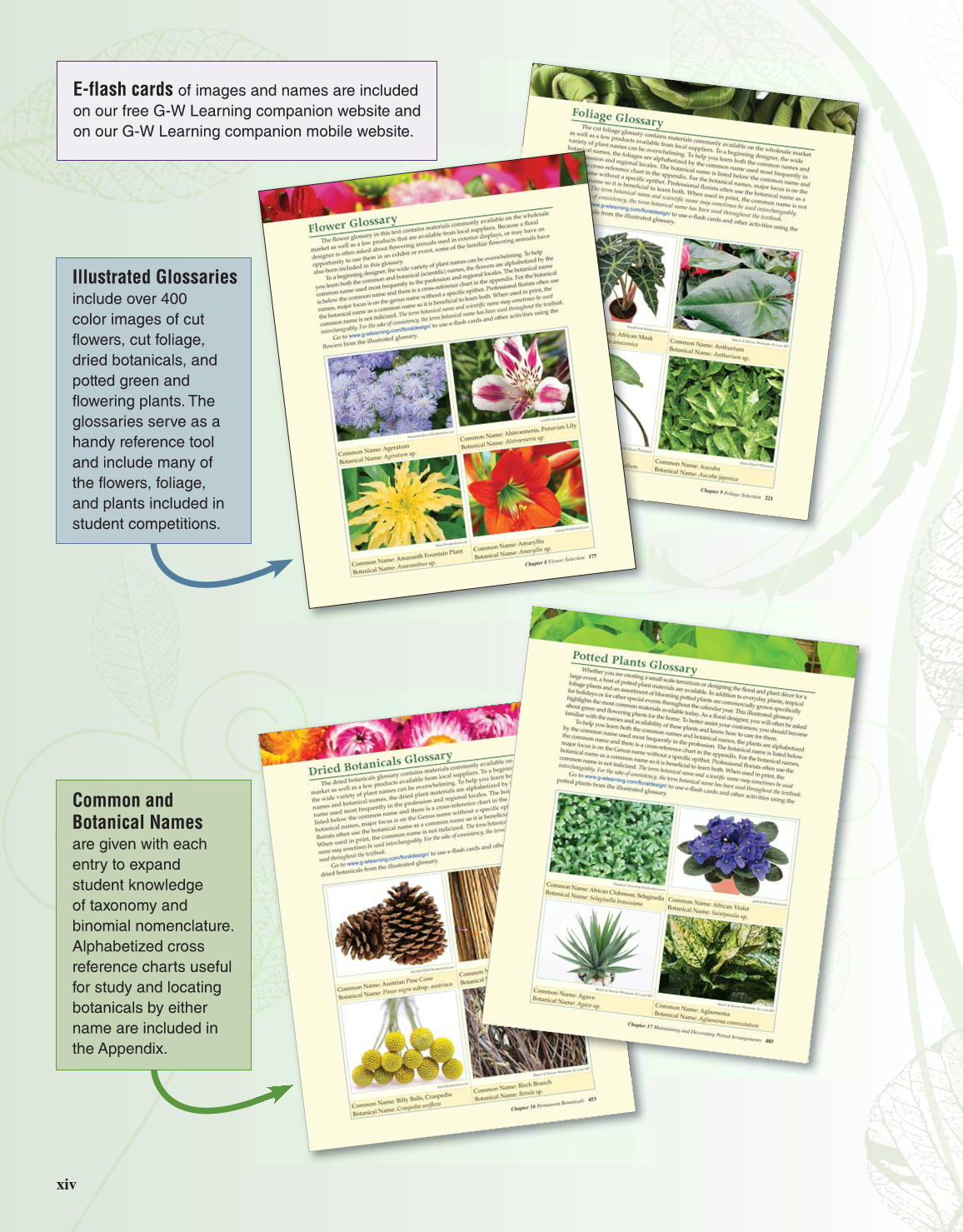 Principles of Floral Design, 1st Edition page xiv