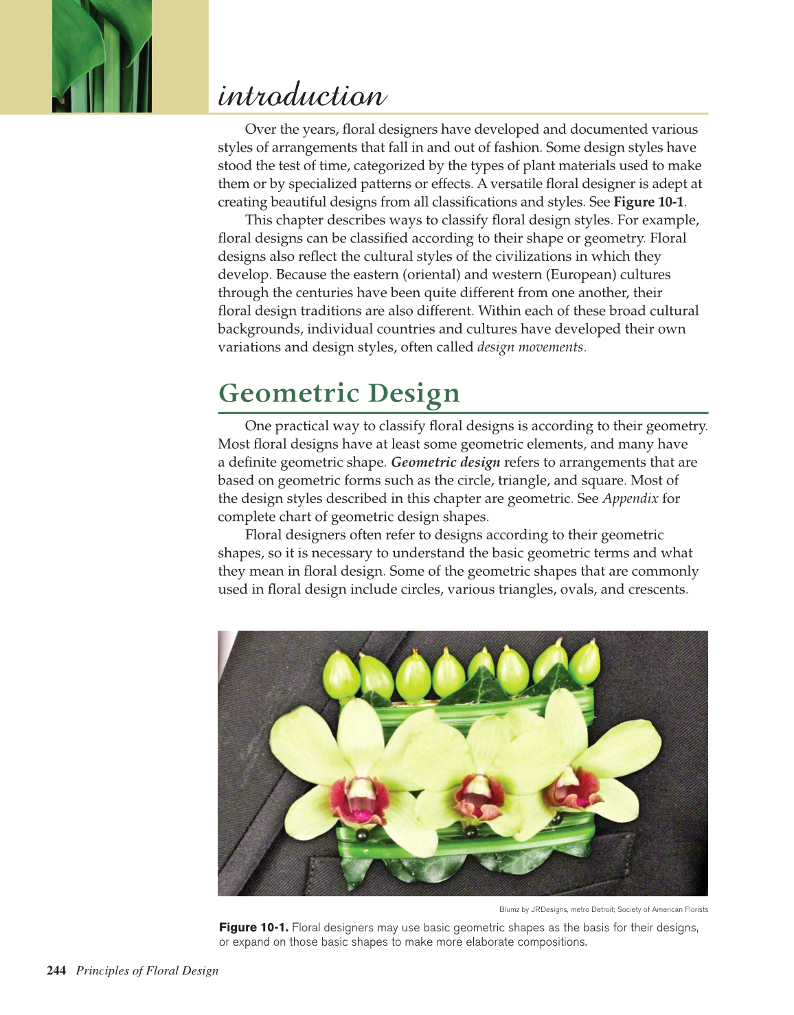 Principles of Floral Design, 1st Edition page 244