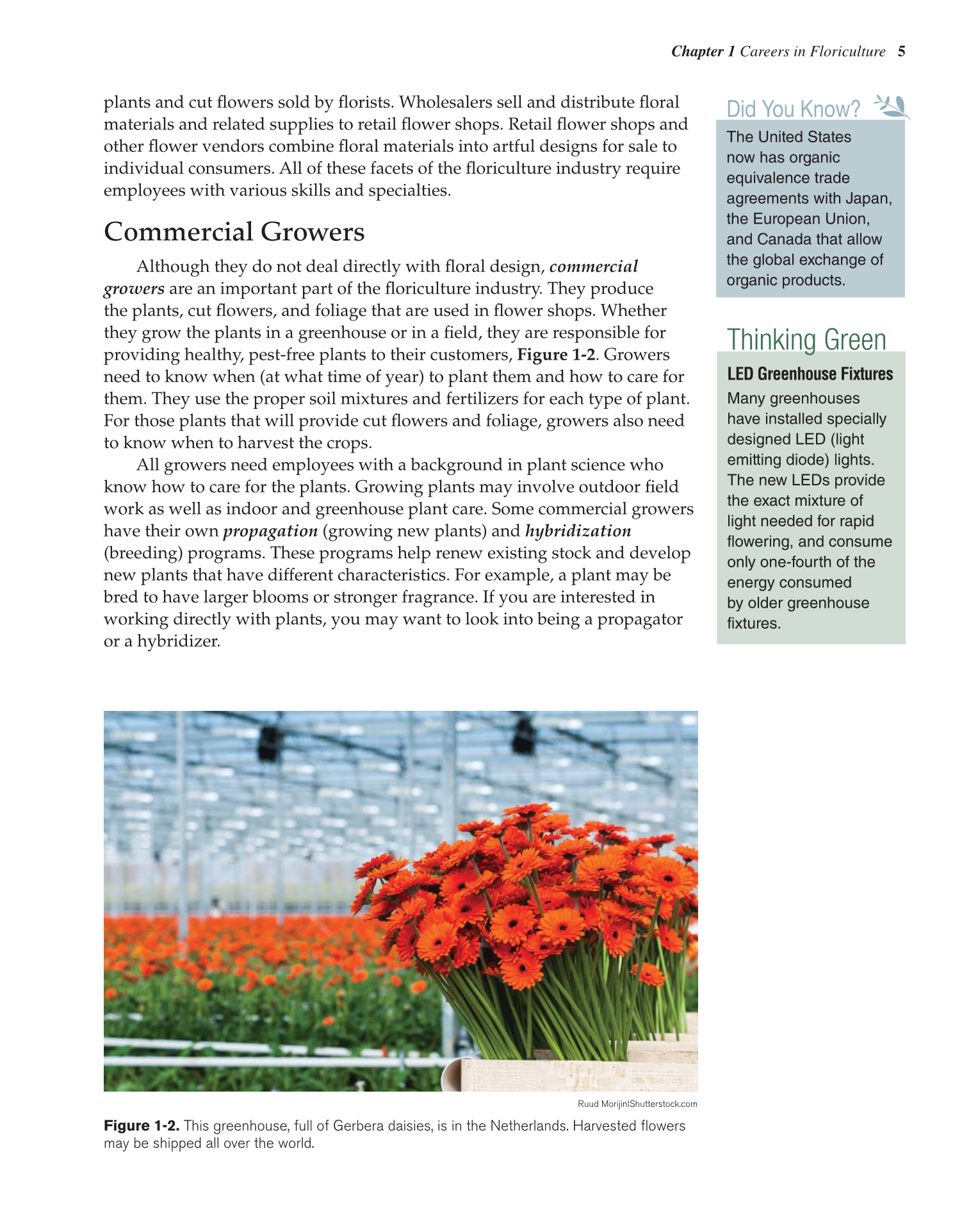 Principles of Floral Design, 1st Edition page 5