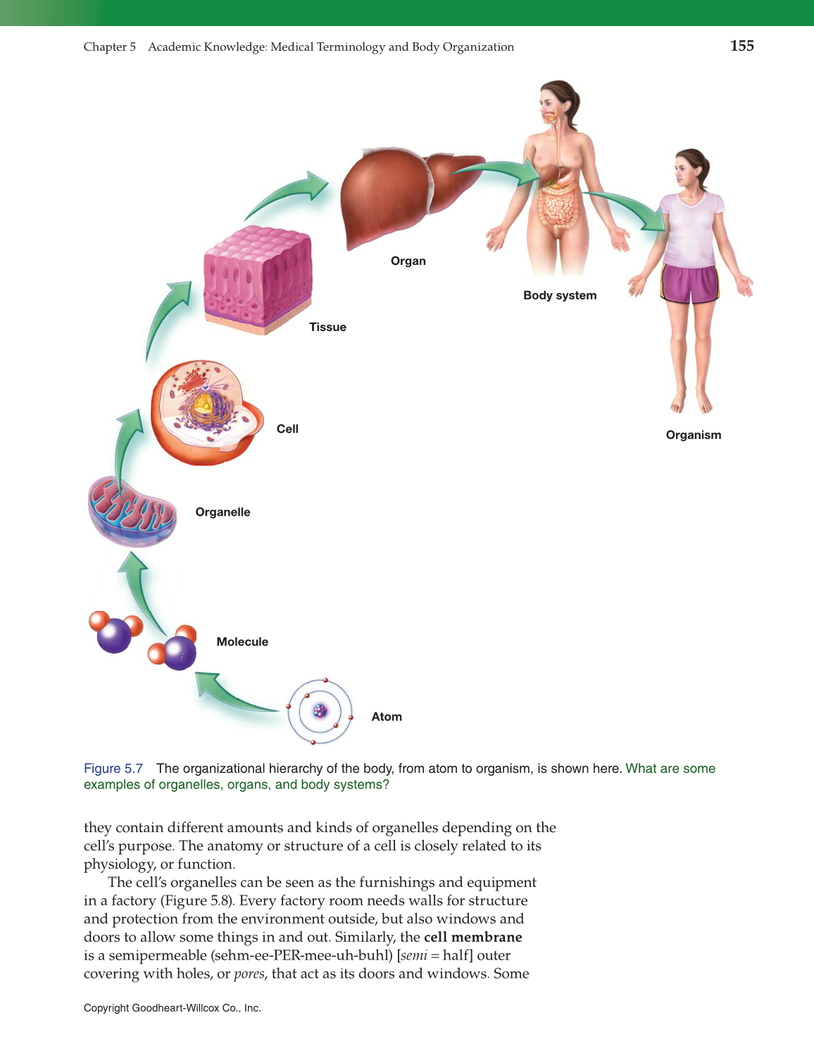 Introduction to Health Science: Pathways to Your Future, 1st Edition page 155