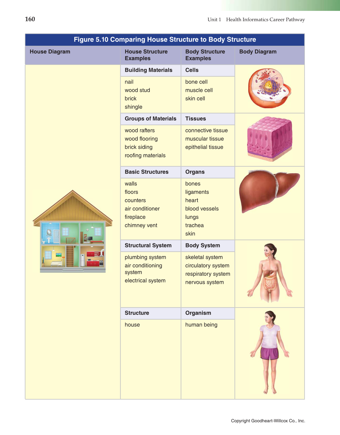 Introduction to Health Science: Pathways to Your Future, 1st Edition page 160
