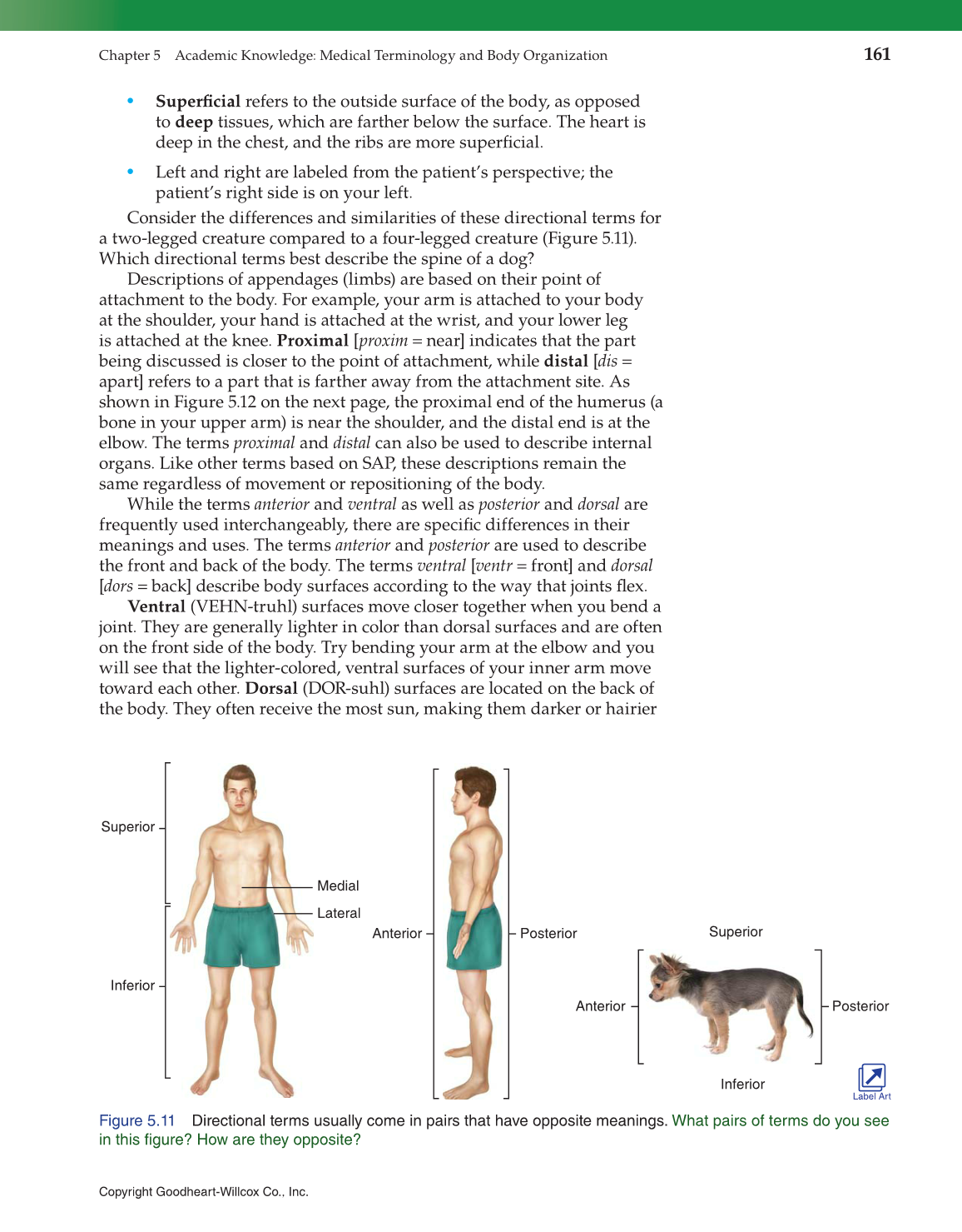 Introduction to Health Science: Pathways to Your Future, 1st Edition page 161