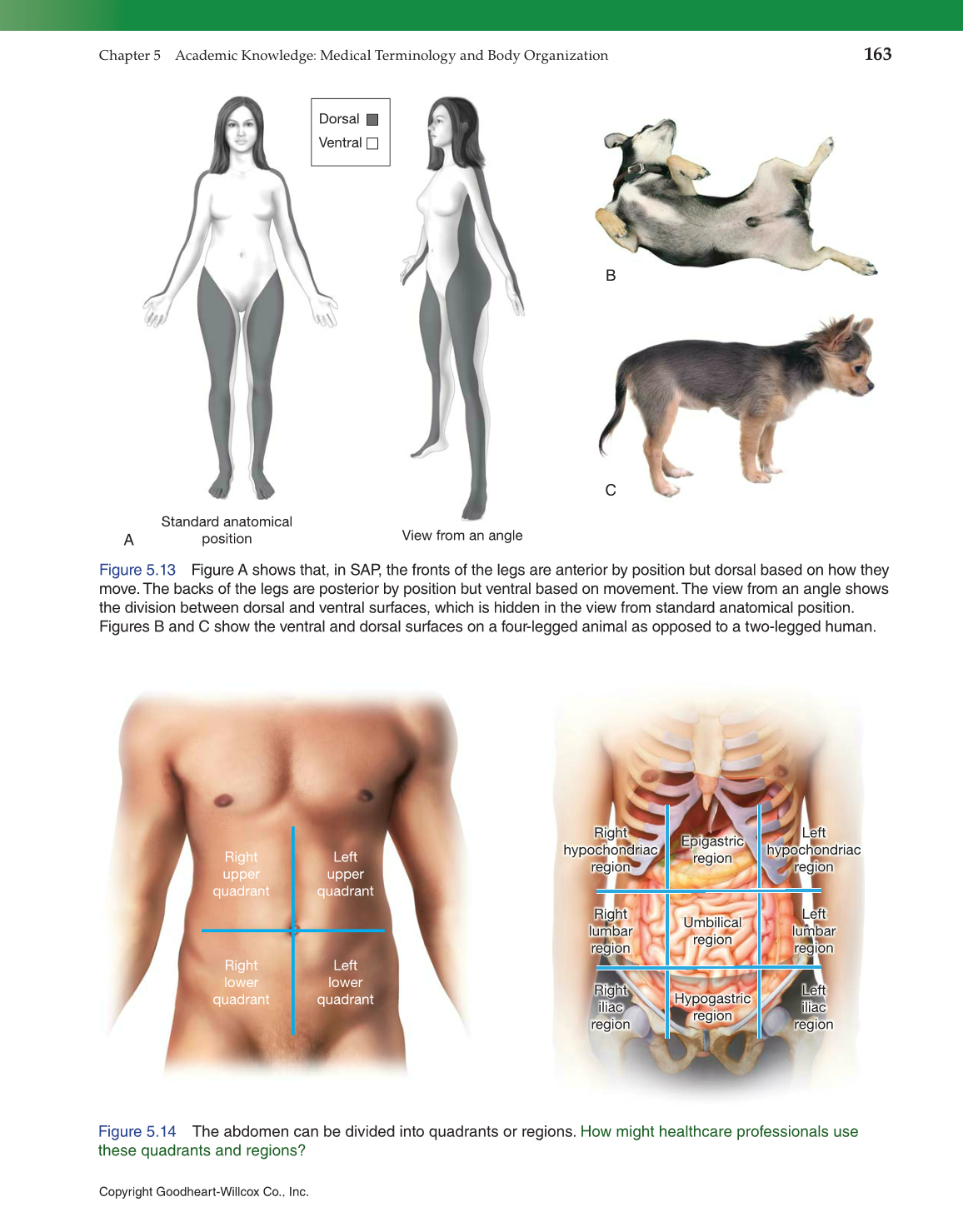 Introduction to Health Science: Pathways to Your Future, 1st Edition page 163