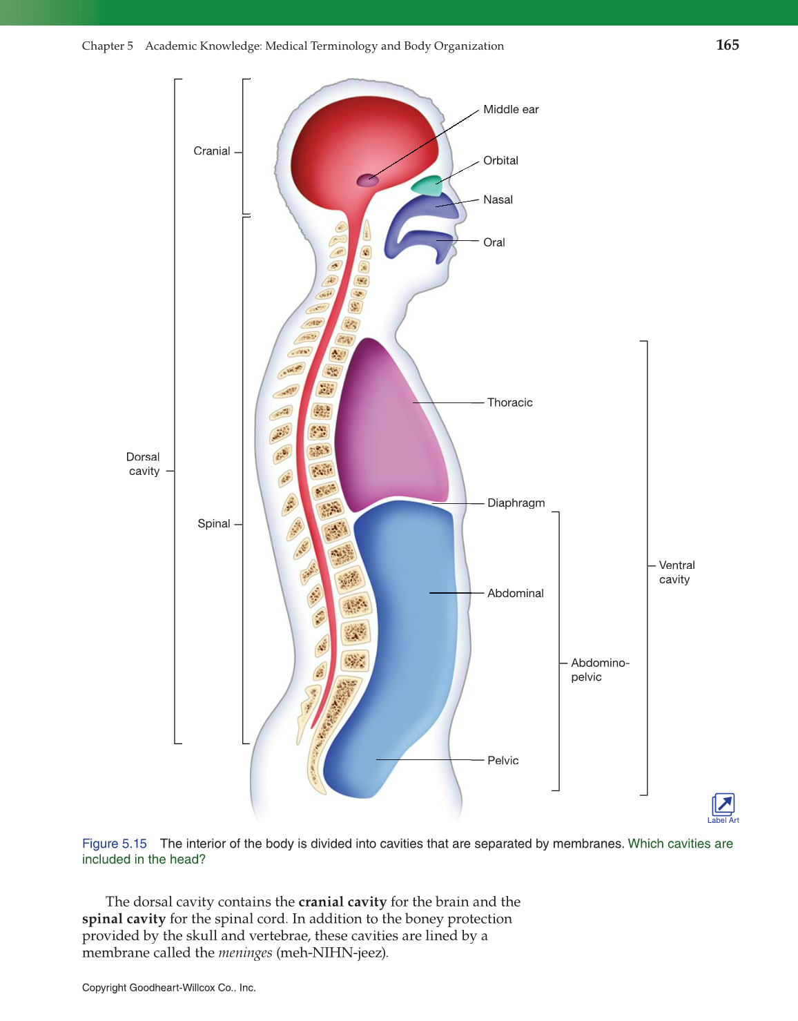Introduction to Health Science: Pathways to Your Future, 1st Edition page 165