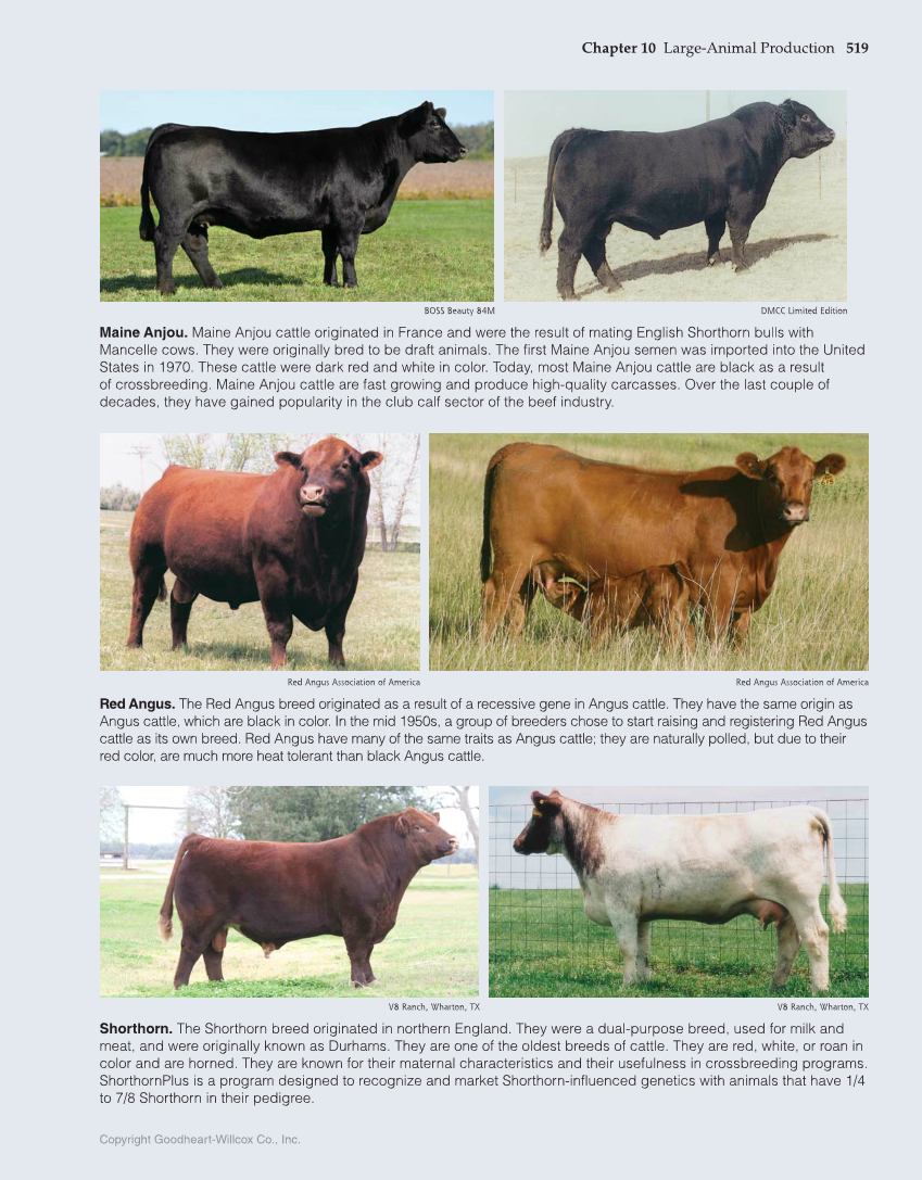 Principles of Agriculture, Food, and Natural Resources, 1st Edition page 519