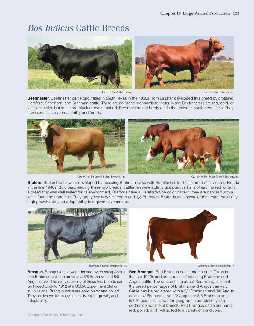 Principles of Agriculture, Food, and Natural Resources, 1st Edition page 521