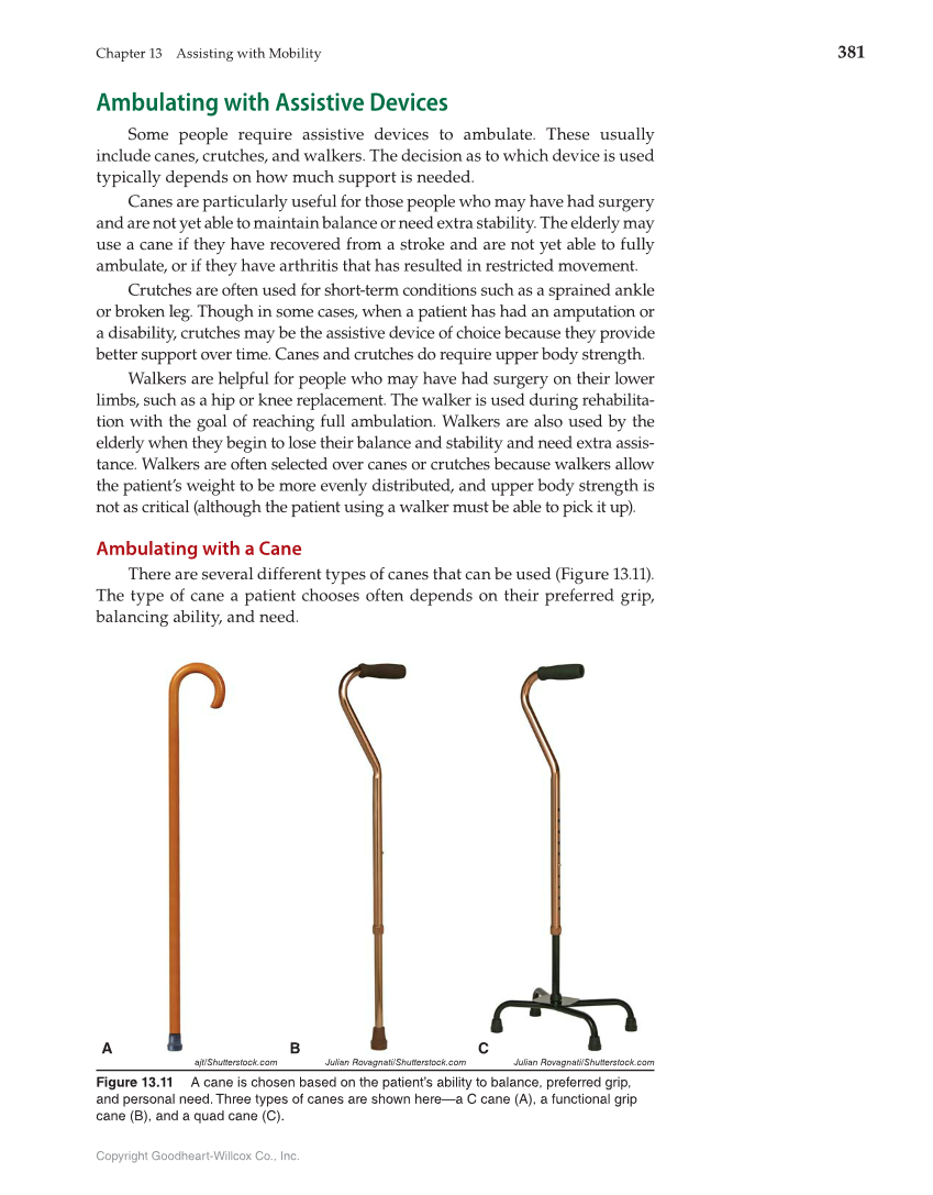 Health Science: Concepts and Applications, 1st Edition page 381