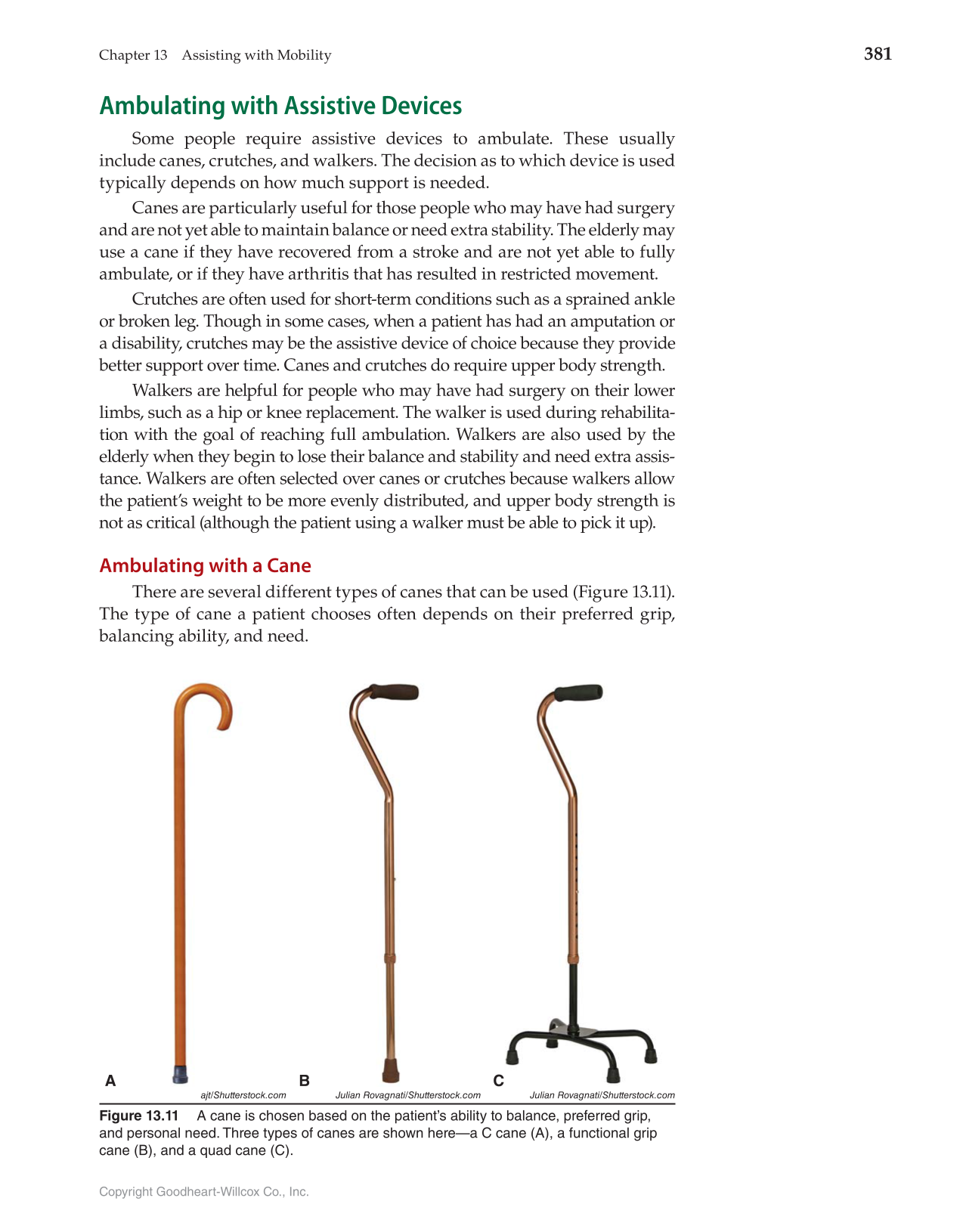 Health Science: Concepts and Applications, 1st Edition page 381