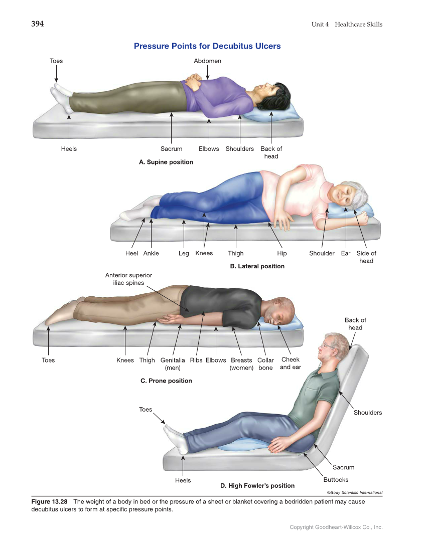 Health Science: Concepts and Applications, 1st Edition page 394