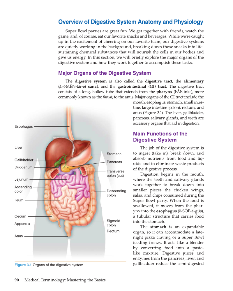 Medical Terminology: Mastering the Basics, 1st Edition page 90