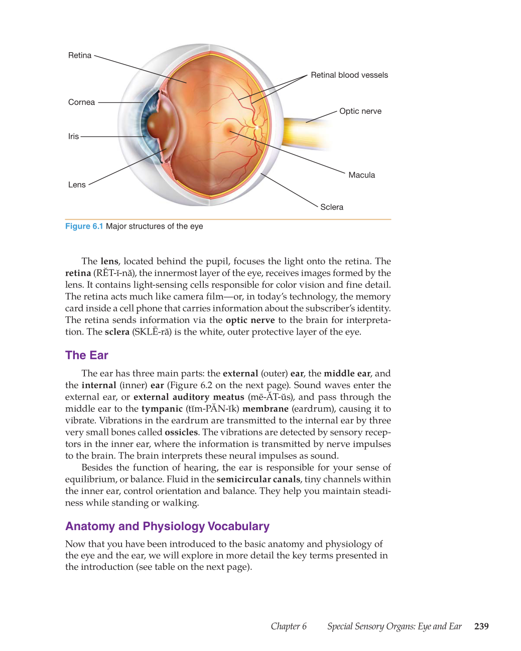 Medical Terminology: Mastering the Basics, 1st Edition page 239