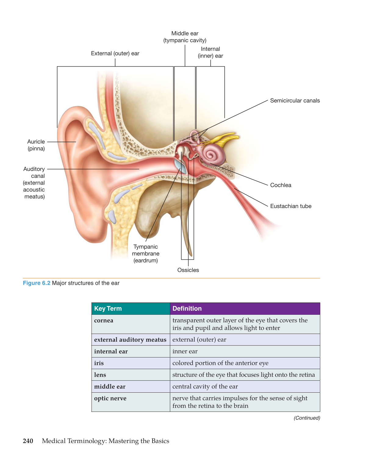 Medical Terminology: Mastering the Basics, 1st Edition page 240