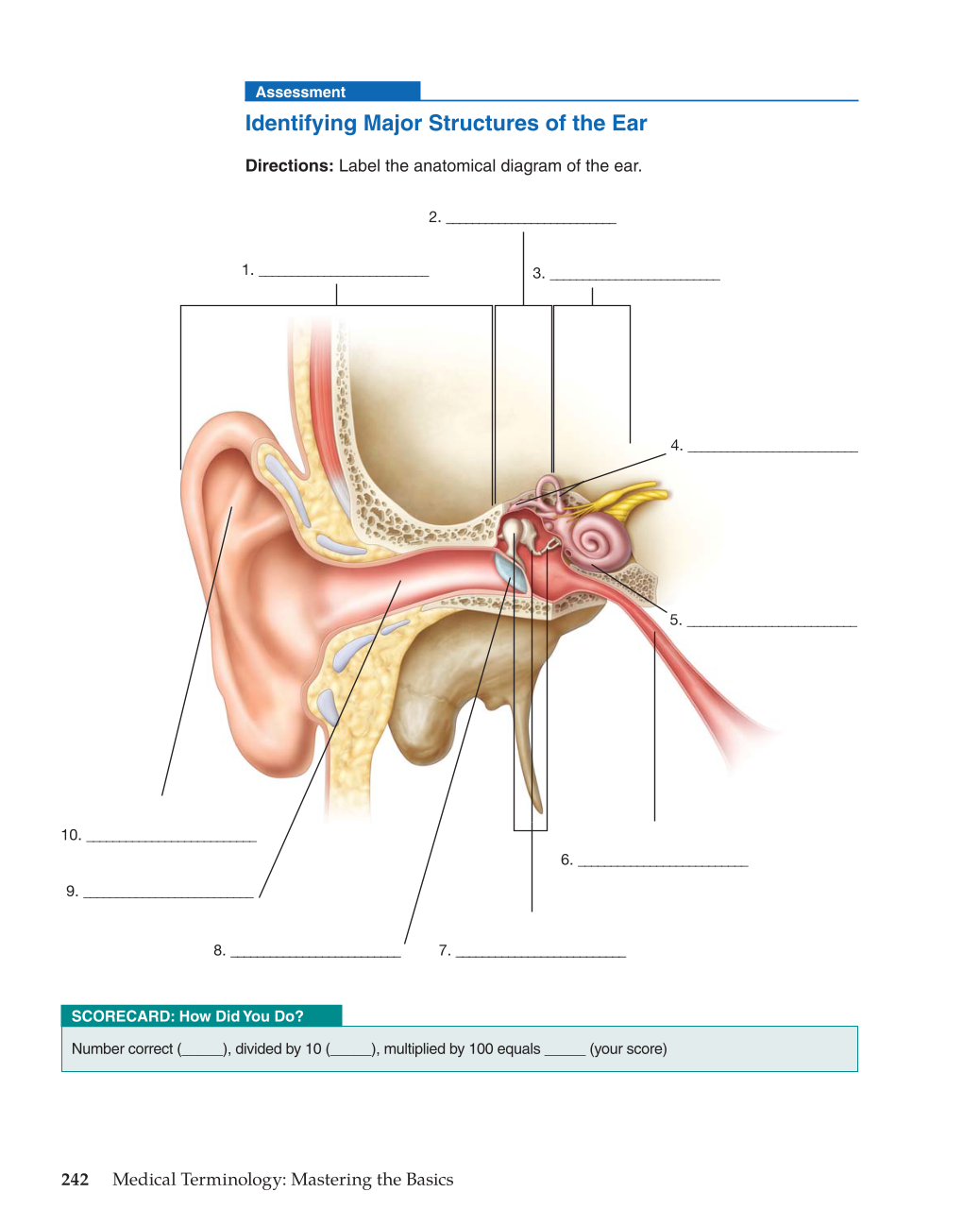 Medical Terminology: Mastering the Basics, 1st Edition page 242