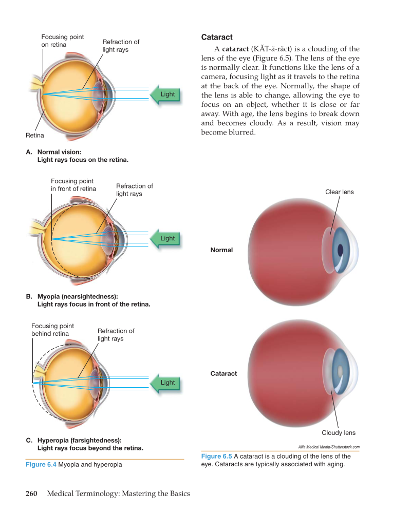 Medical Terminology: Mastering the Basics, 1st Edition page 260